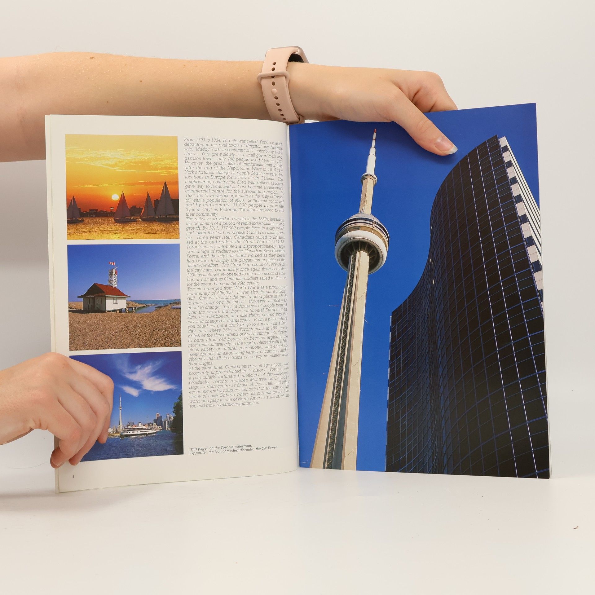 Carl Benn Toronto and Niagara Falls - English Edition