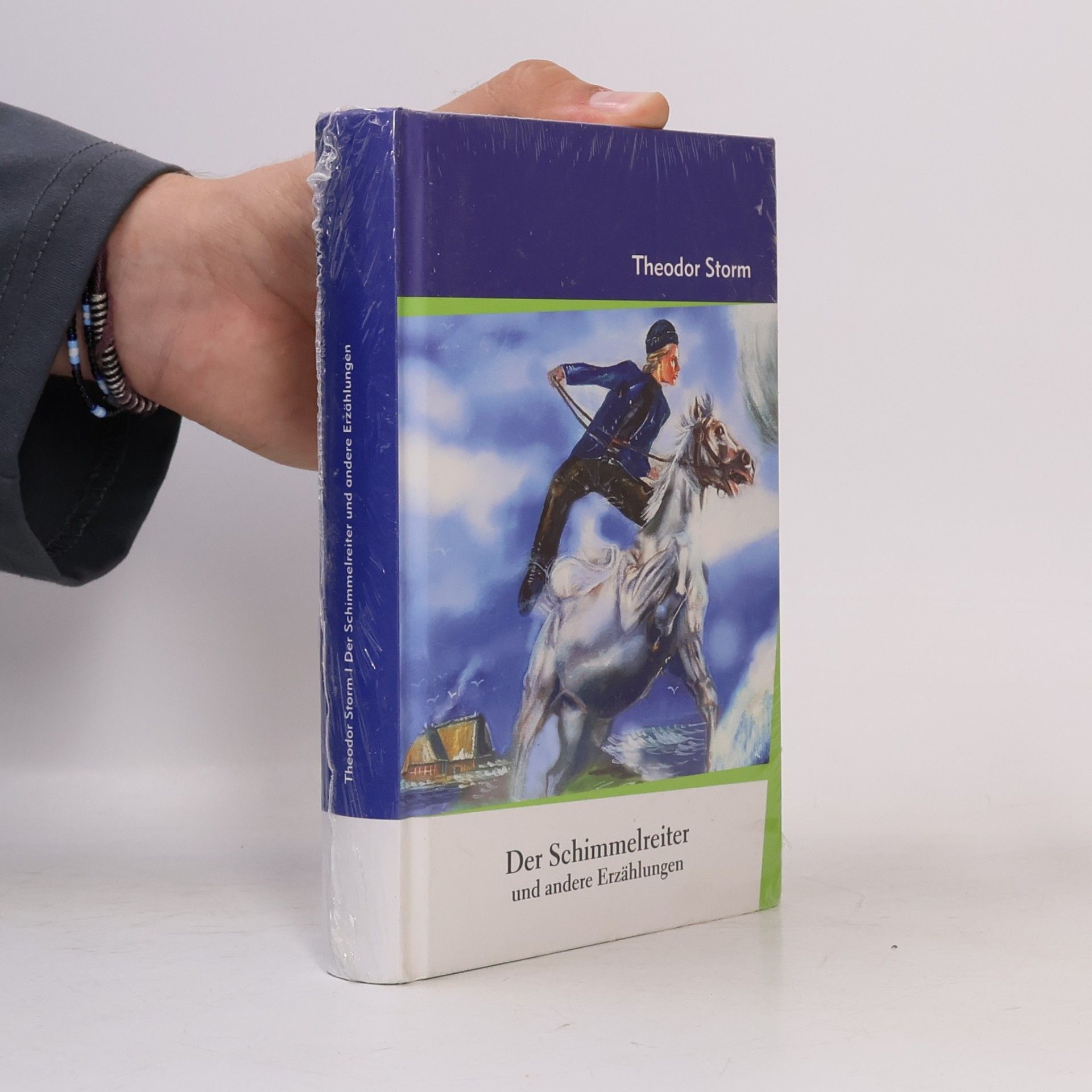 Theodor Storm Der Schimmelreiter und andere Erzählungen