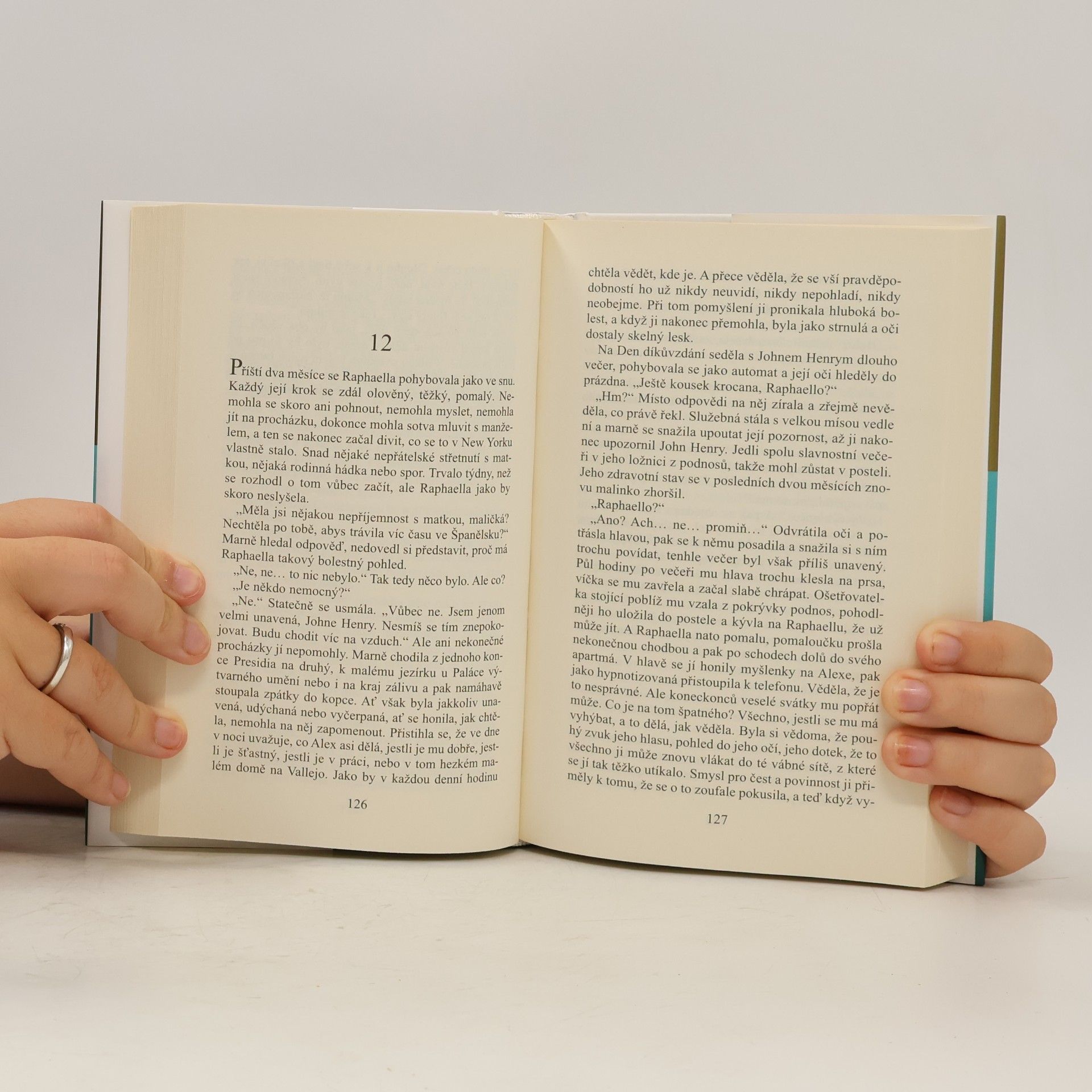 Danielle Steel Cizí žena