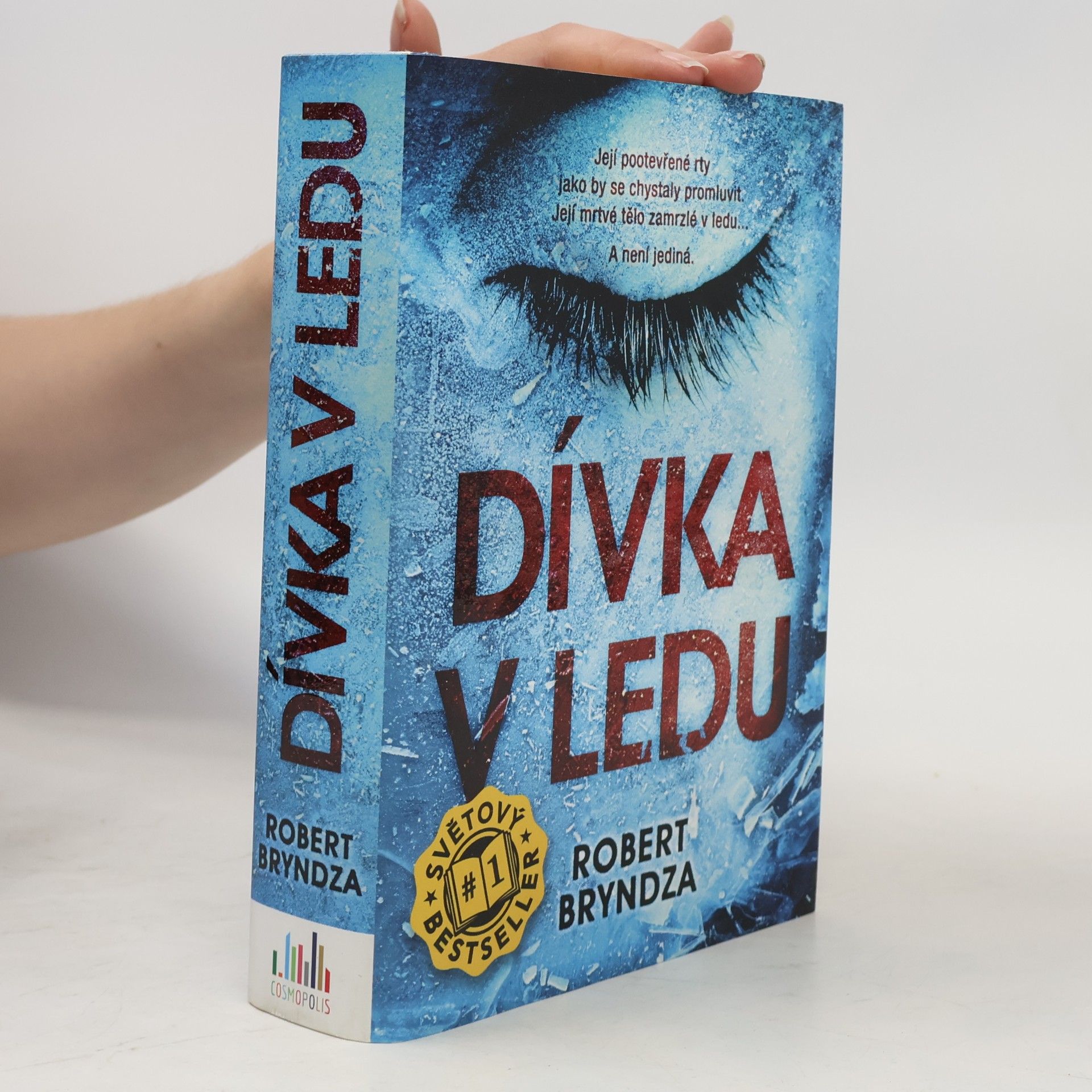 Robert Bryndza Dívka v ledu