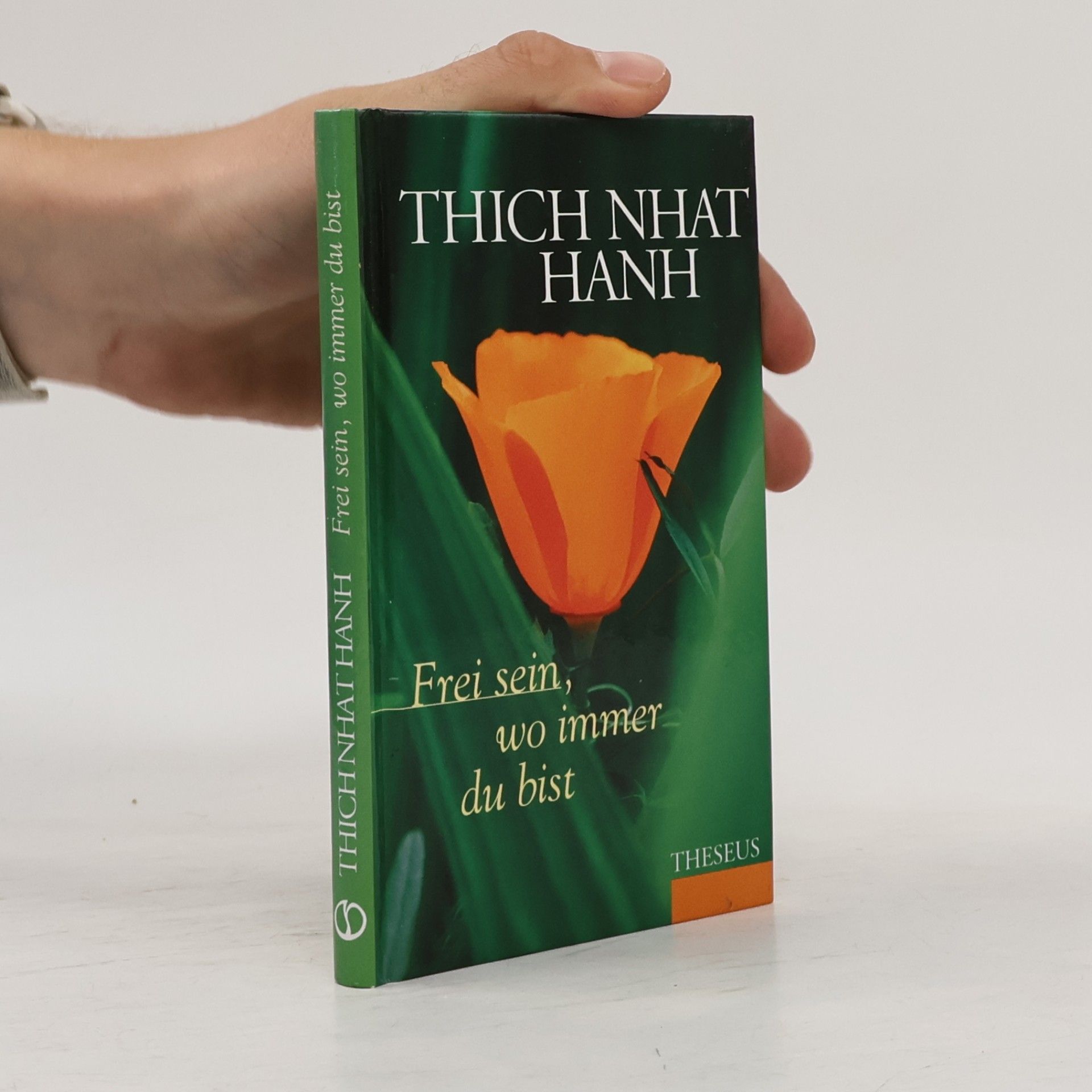 Hạnh Nhat Frei sein, wo immer du bist