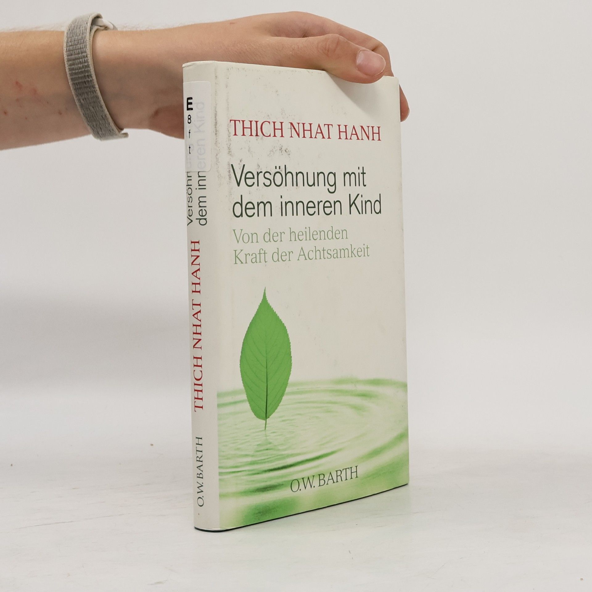 Hạnh Nhat Versöhnung mit dem inneren Kind