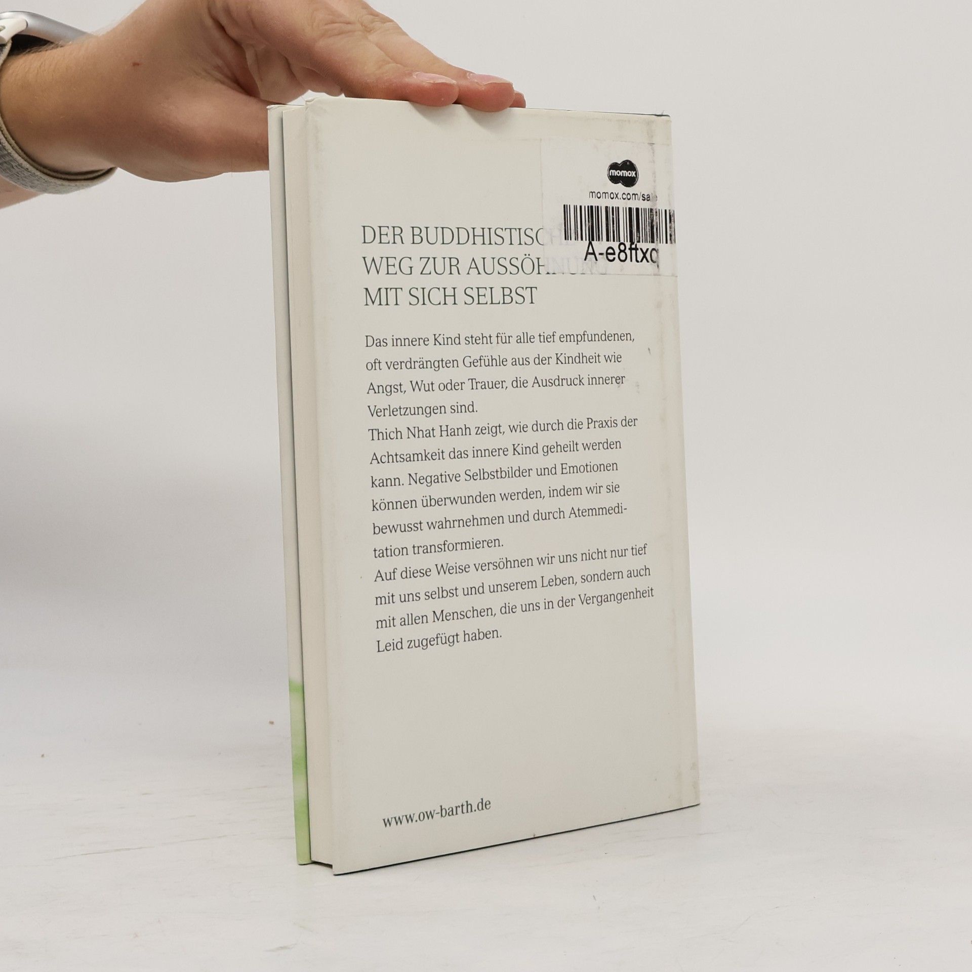 Thích Nhất Hạnh Versöhnung mit dem inneren Kind