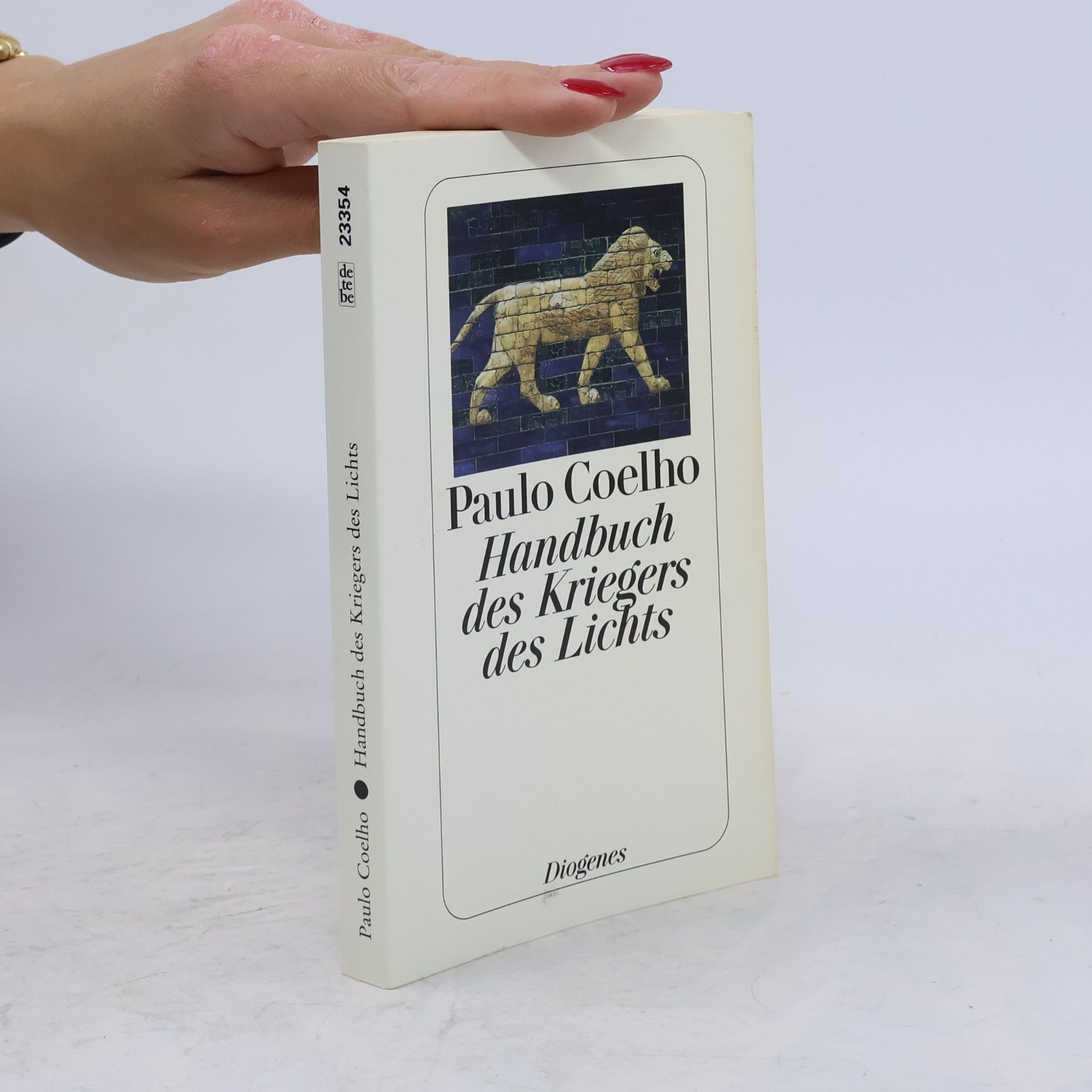 Paulo Coelho Handbuch des Kriegers des Lichts