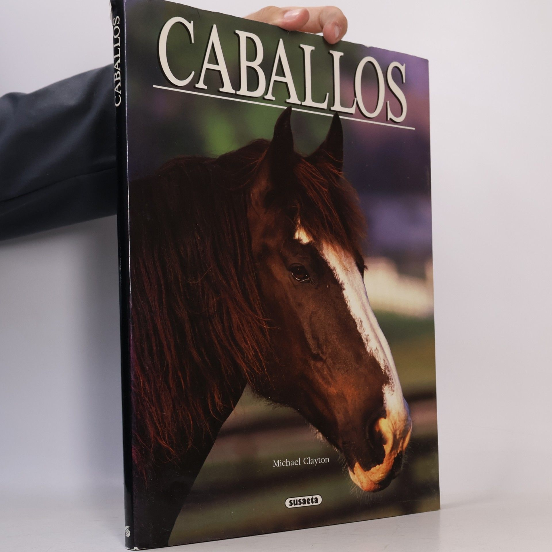 Richard Scarry Caballos