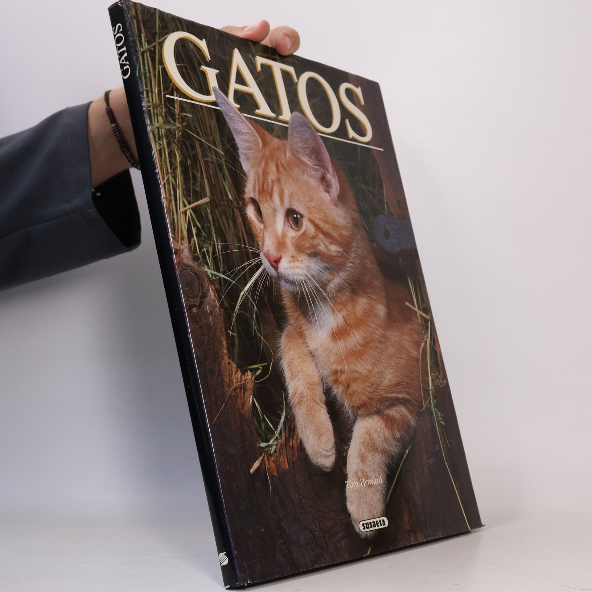 Tom Howard Gatos