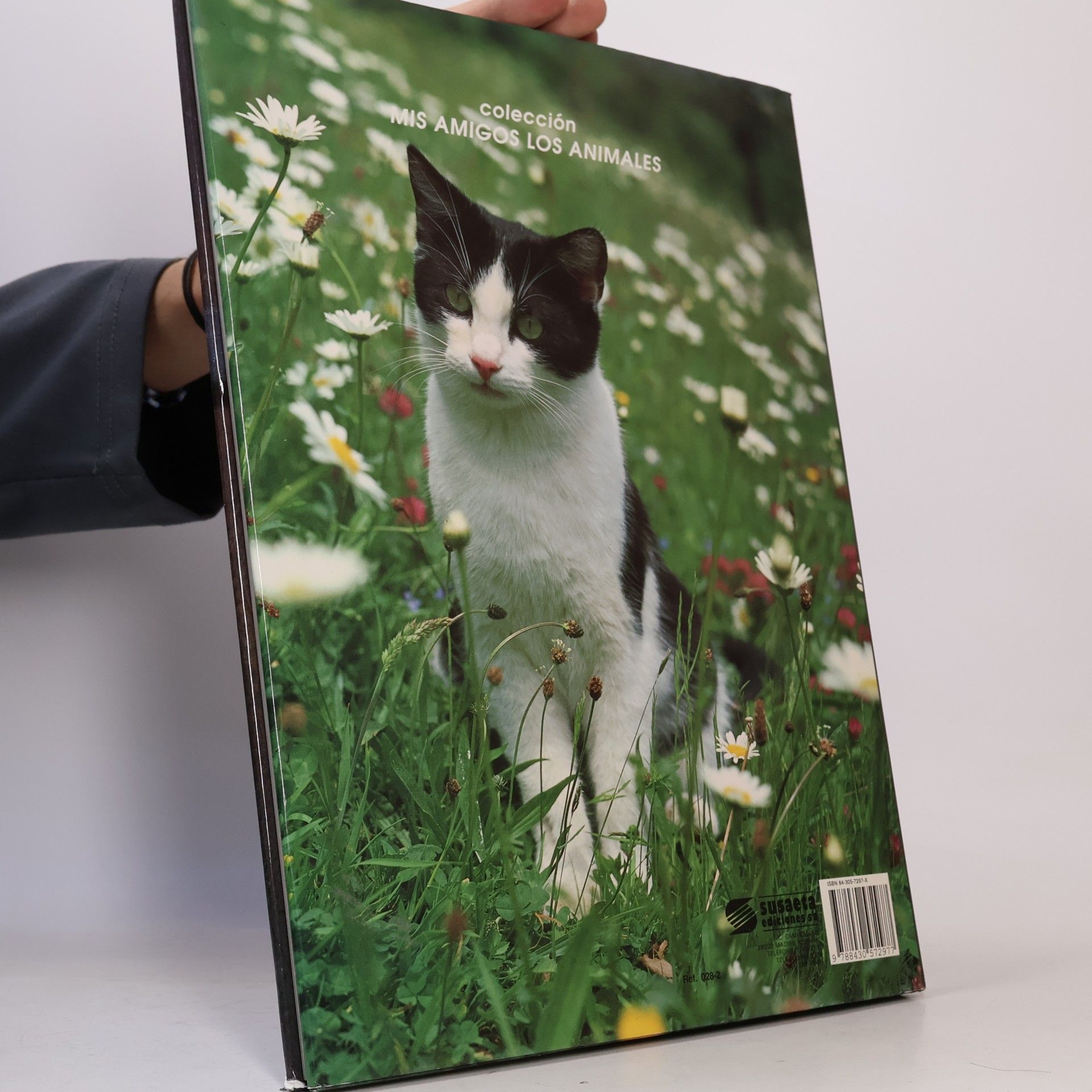 Tom Howard Gatos