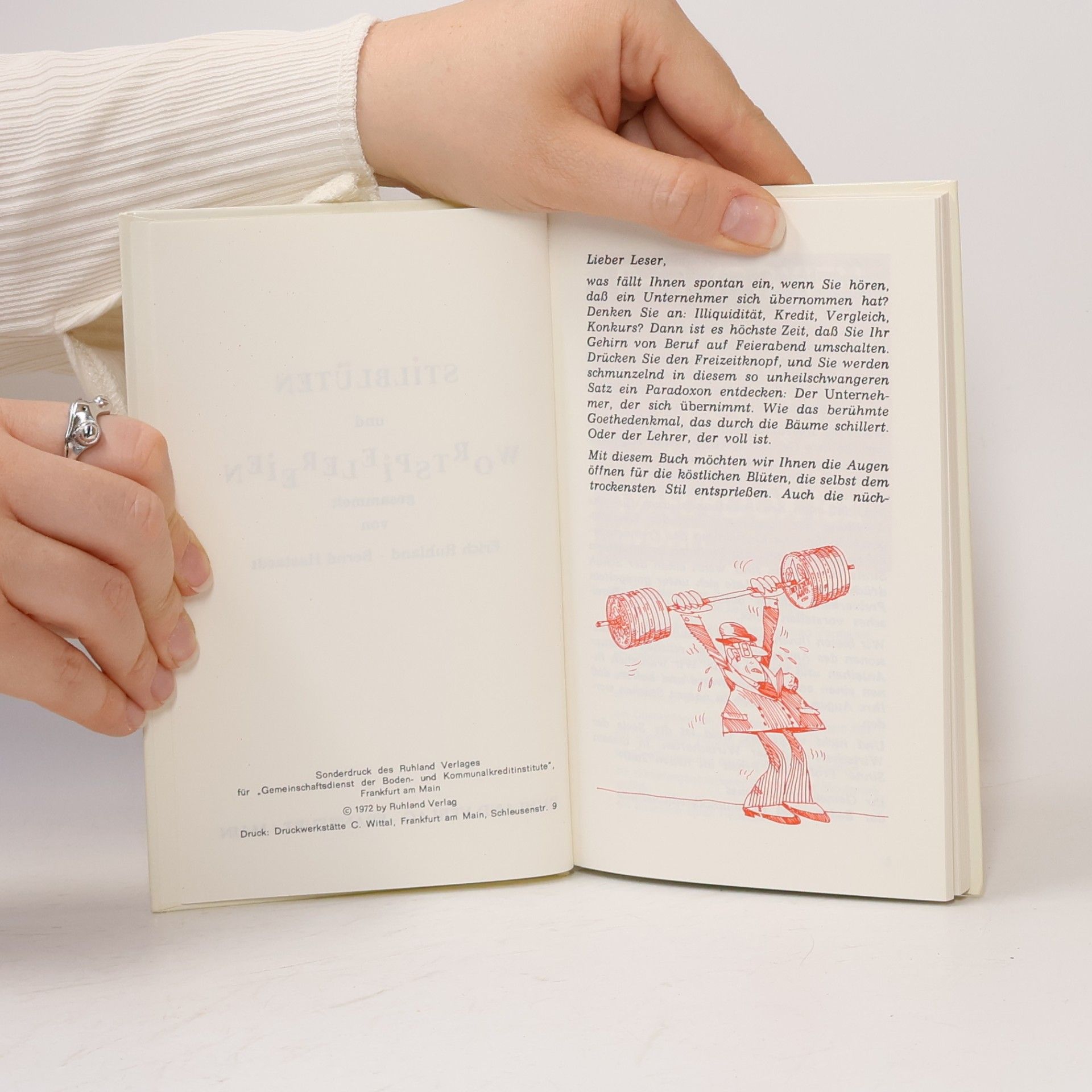 Autores varios Stilblüten und Wortspielereien