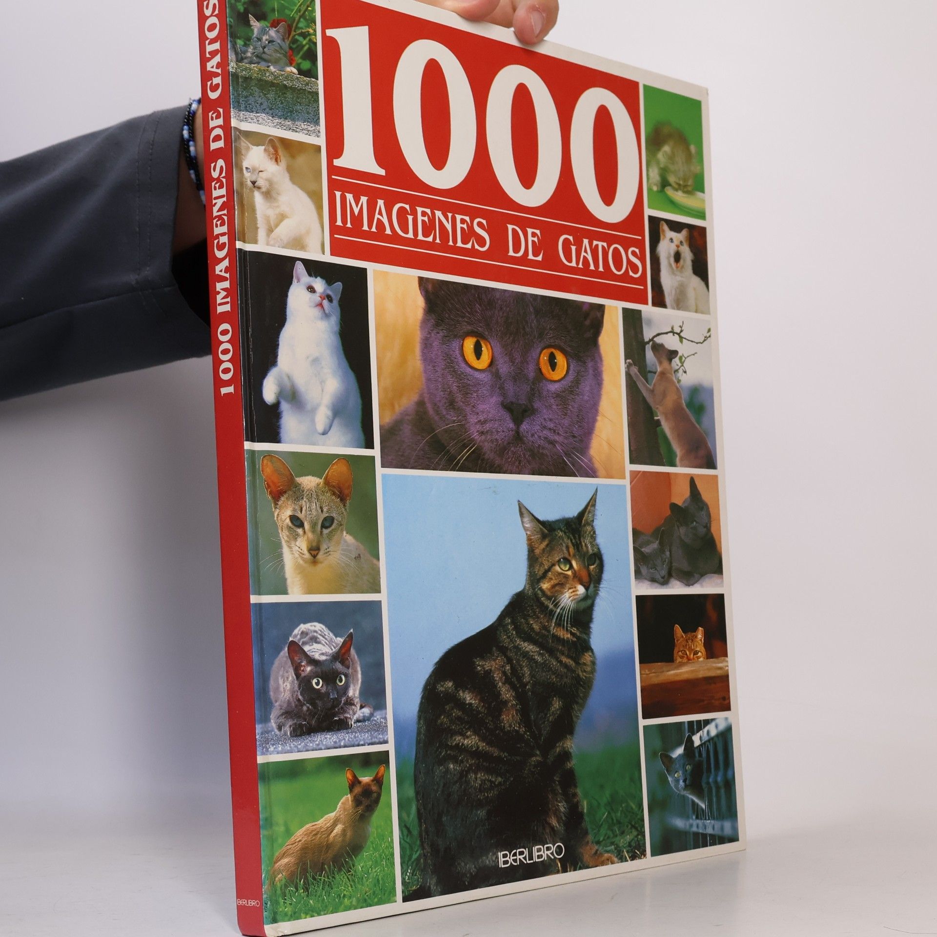Philippe Coppé 1000 Imagenes de Gatos
