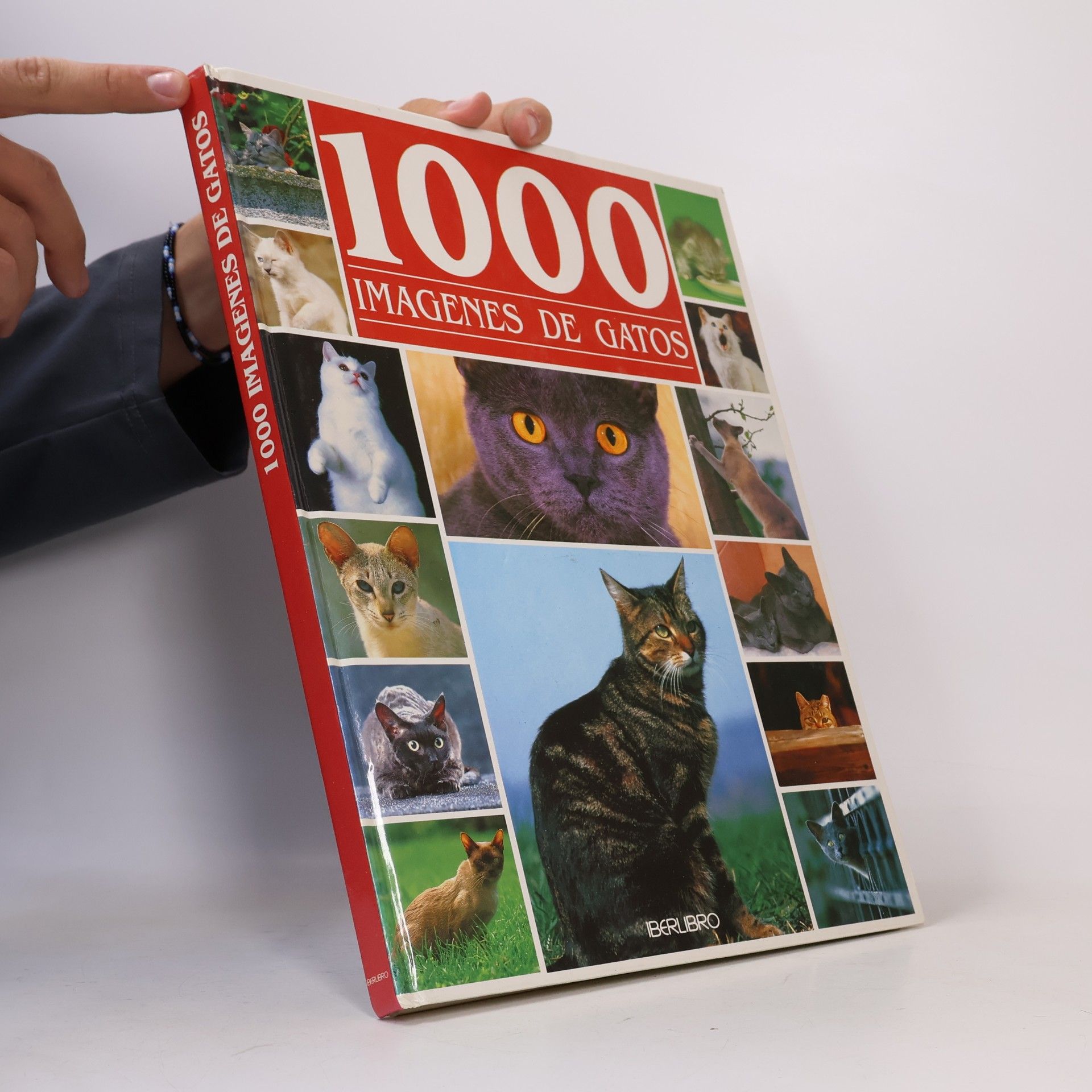 Philippe Coppé 1000 Imagenes de Gatos