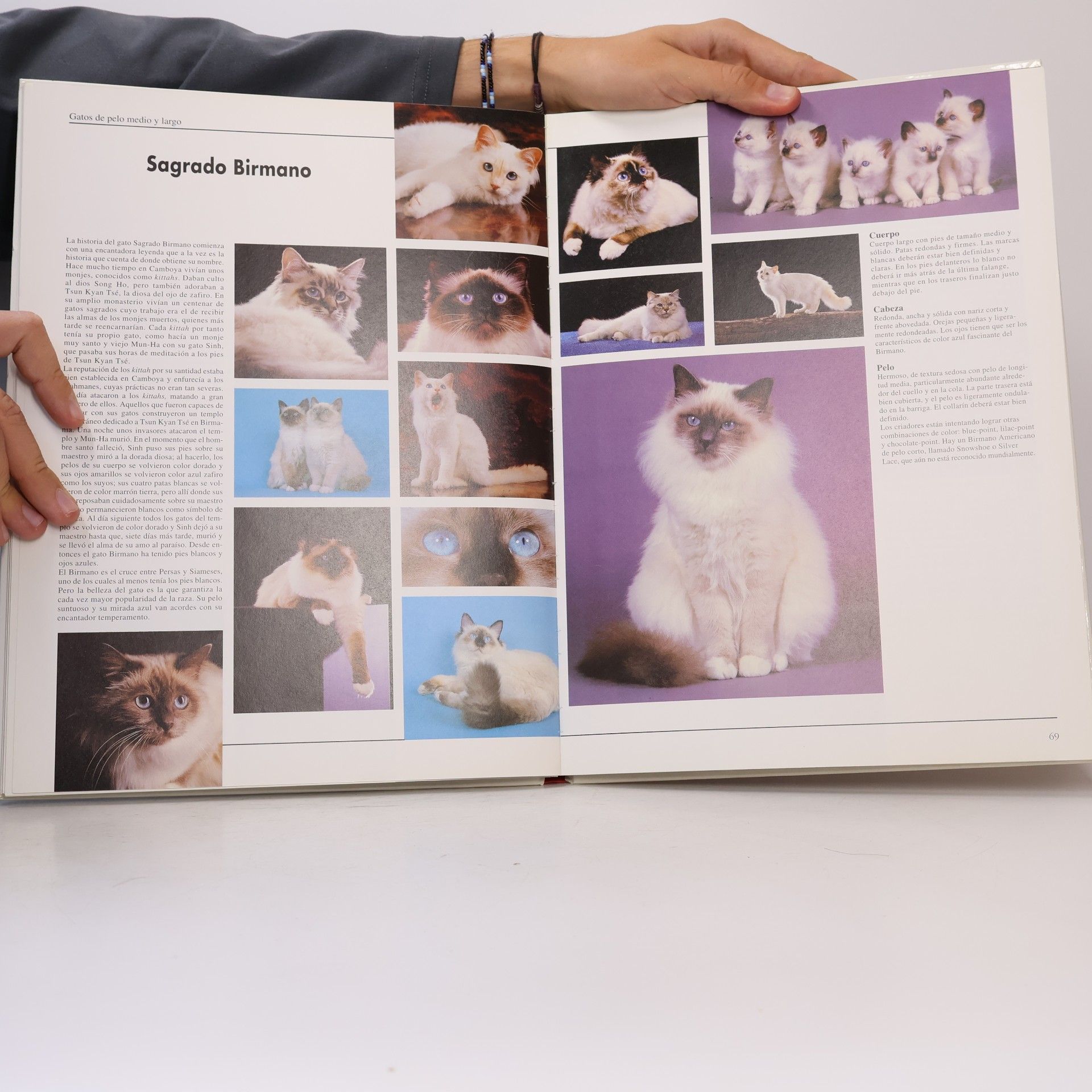 Philippe Coppé 1000 Imagenes de Gatos