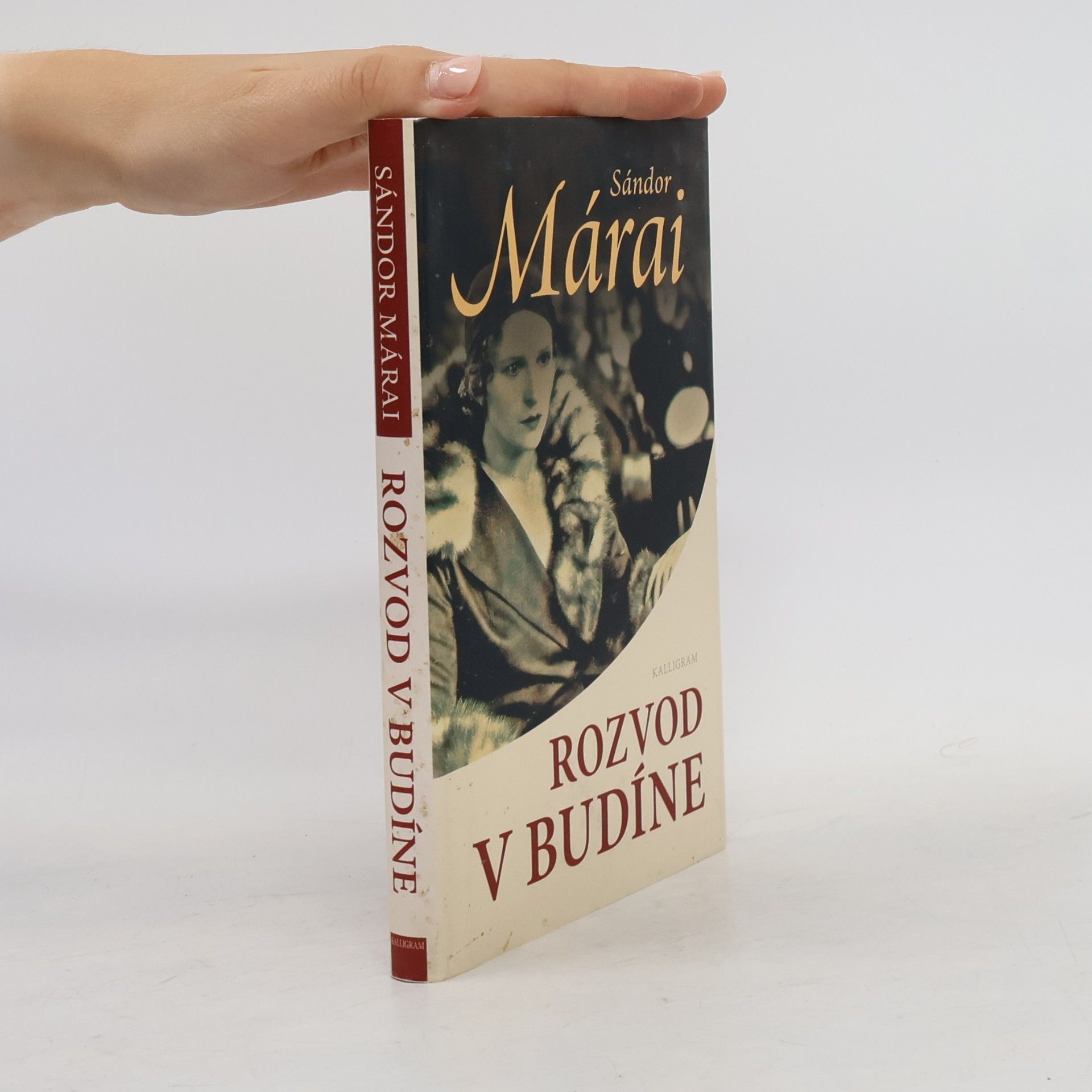 Sándor Márai Rozvod v Budíne