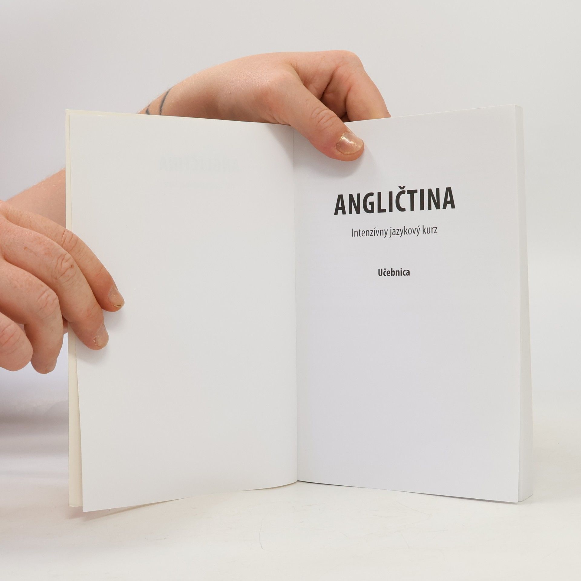 Kolektiv autorů Angličtina. Učebnica. Intenzívny jazykový kurz