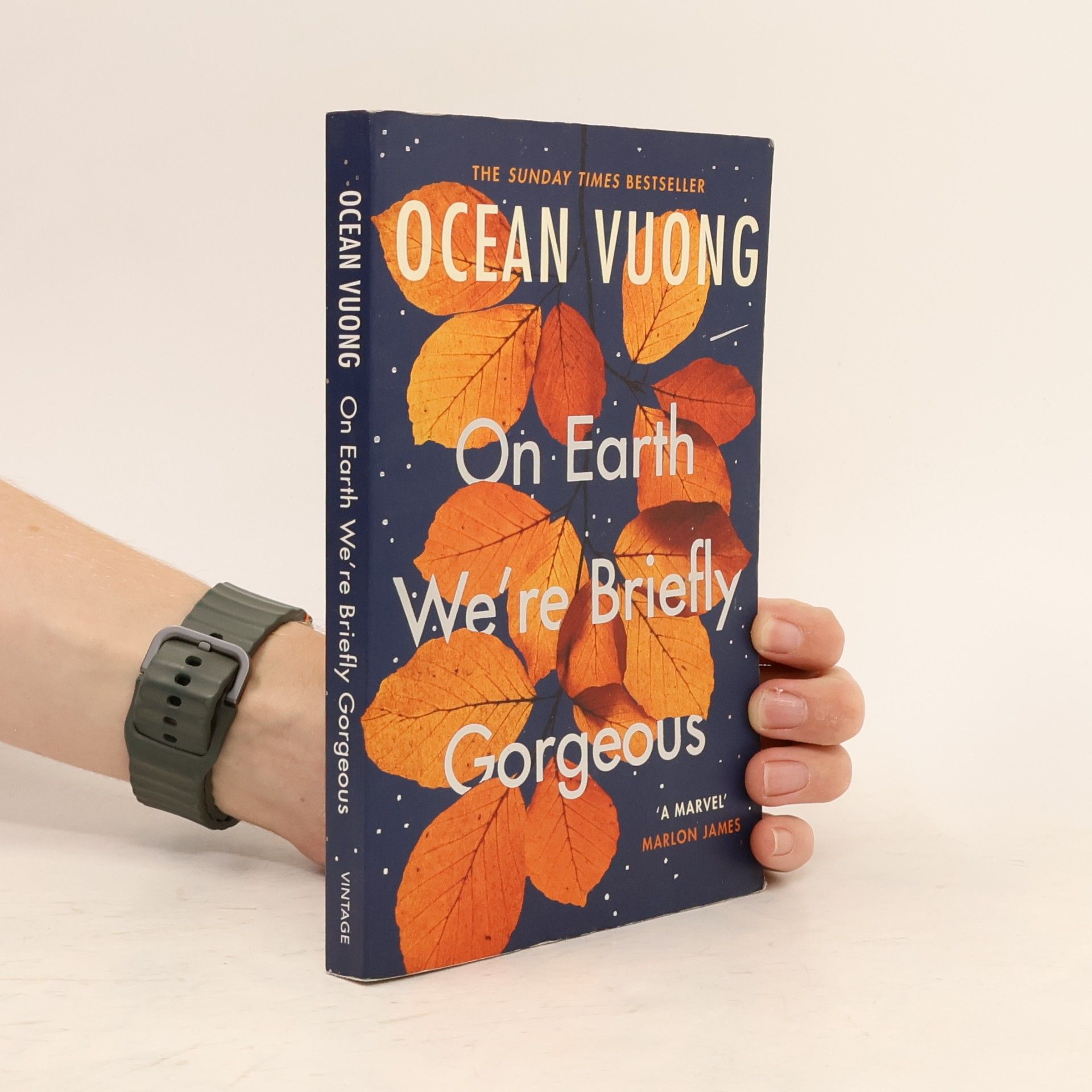 Ocean Vuong On Earth We're Briefly Gorgeous