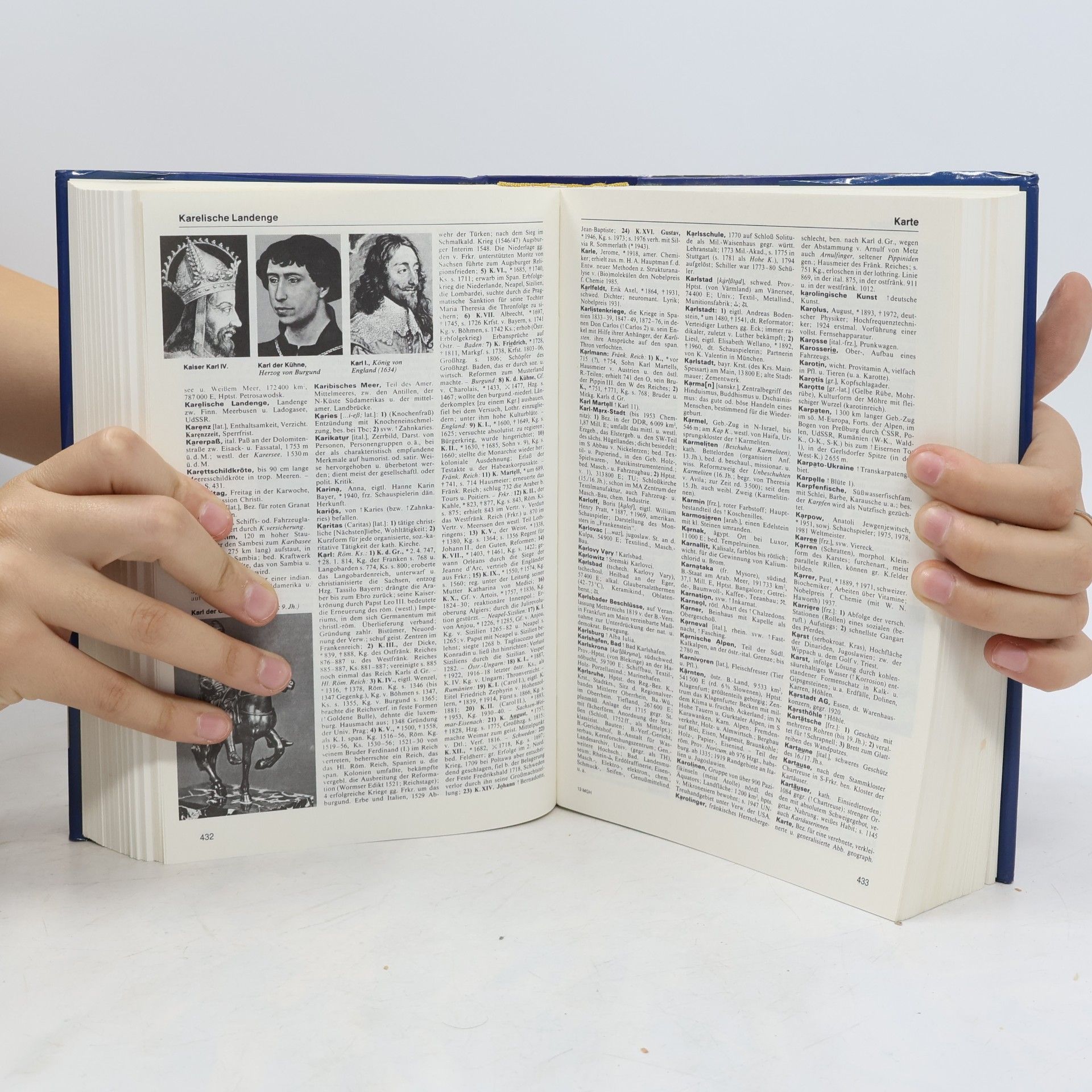 Autorenkollektiv Meyers Grosses Handlexikon von A bis Z