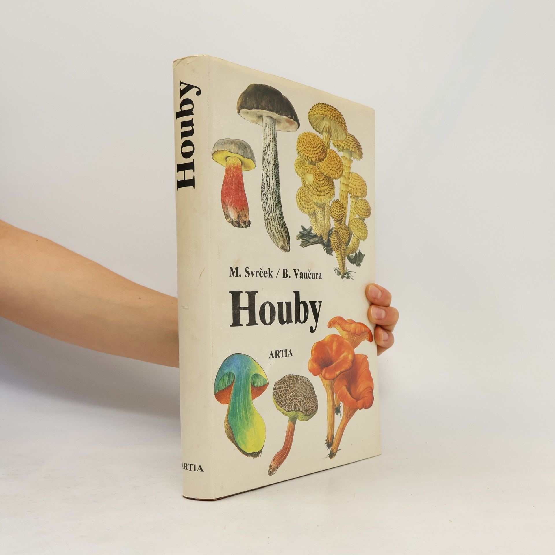 Houby