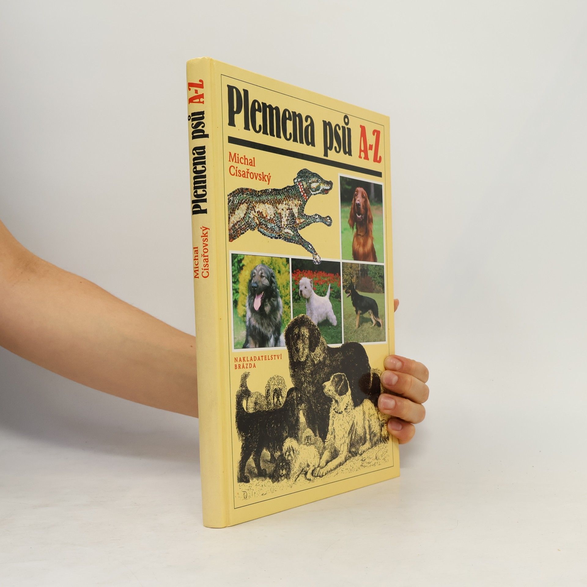 Plemena psů A-Z