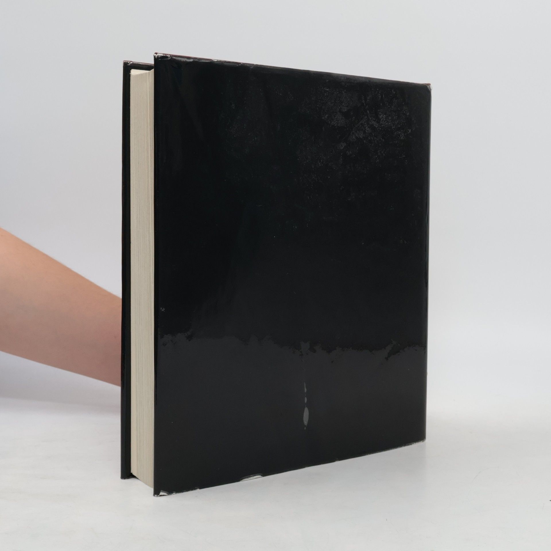 Franz Maier-Bruck Das grosse Sacher-Kochbuch