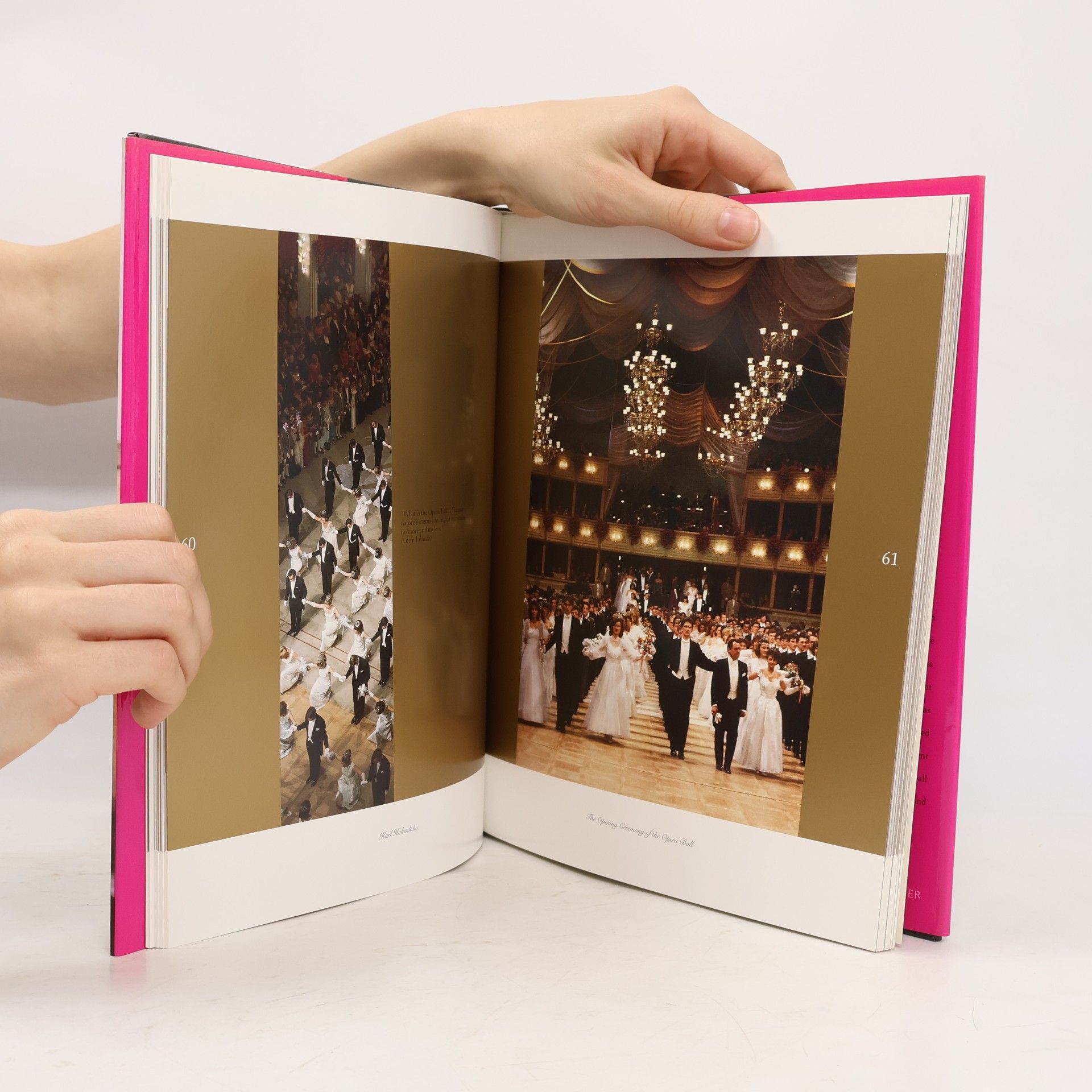 Ulrike Messer Krol The Vienna Opera Ball