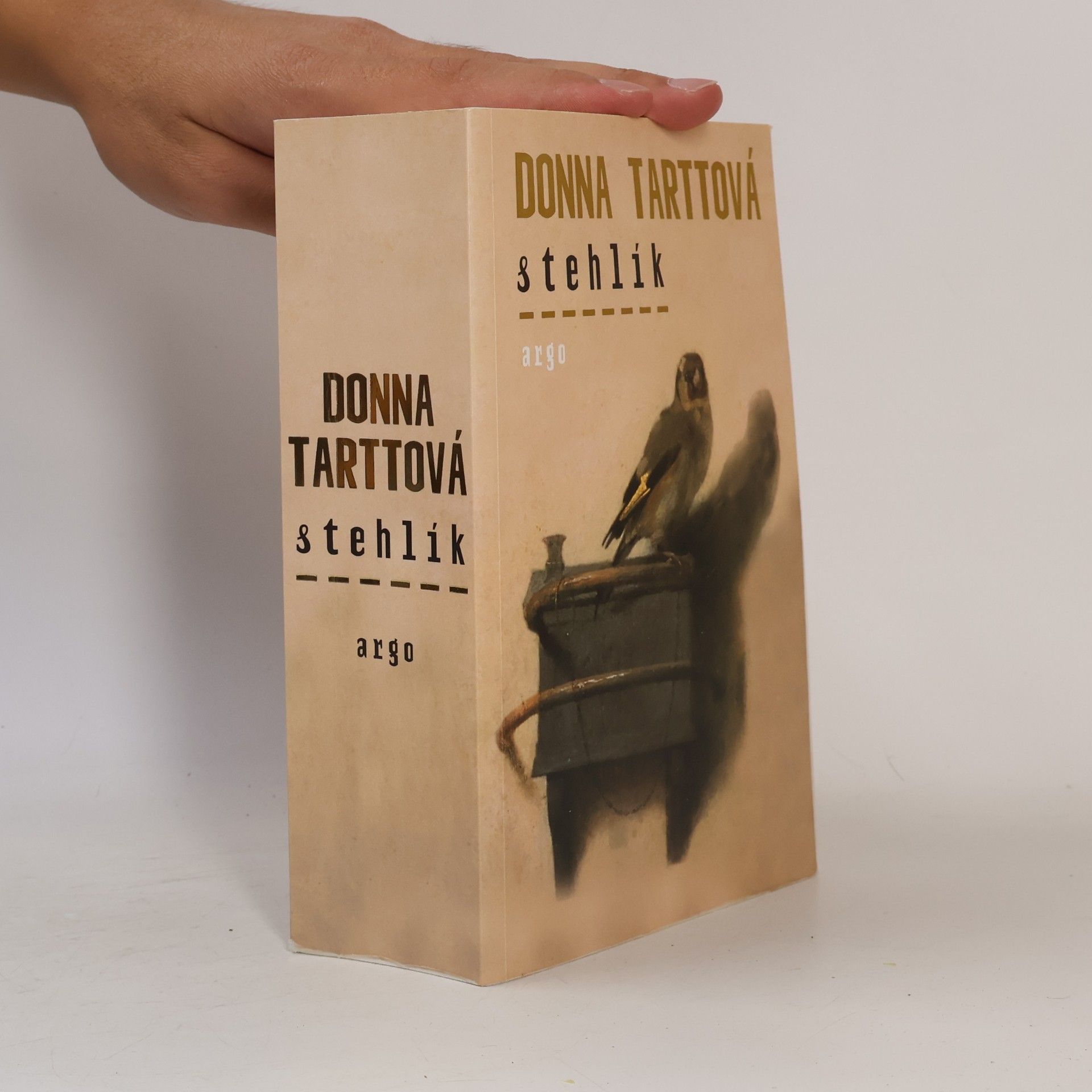 Donna Tartt Stehlík