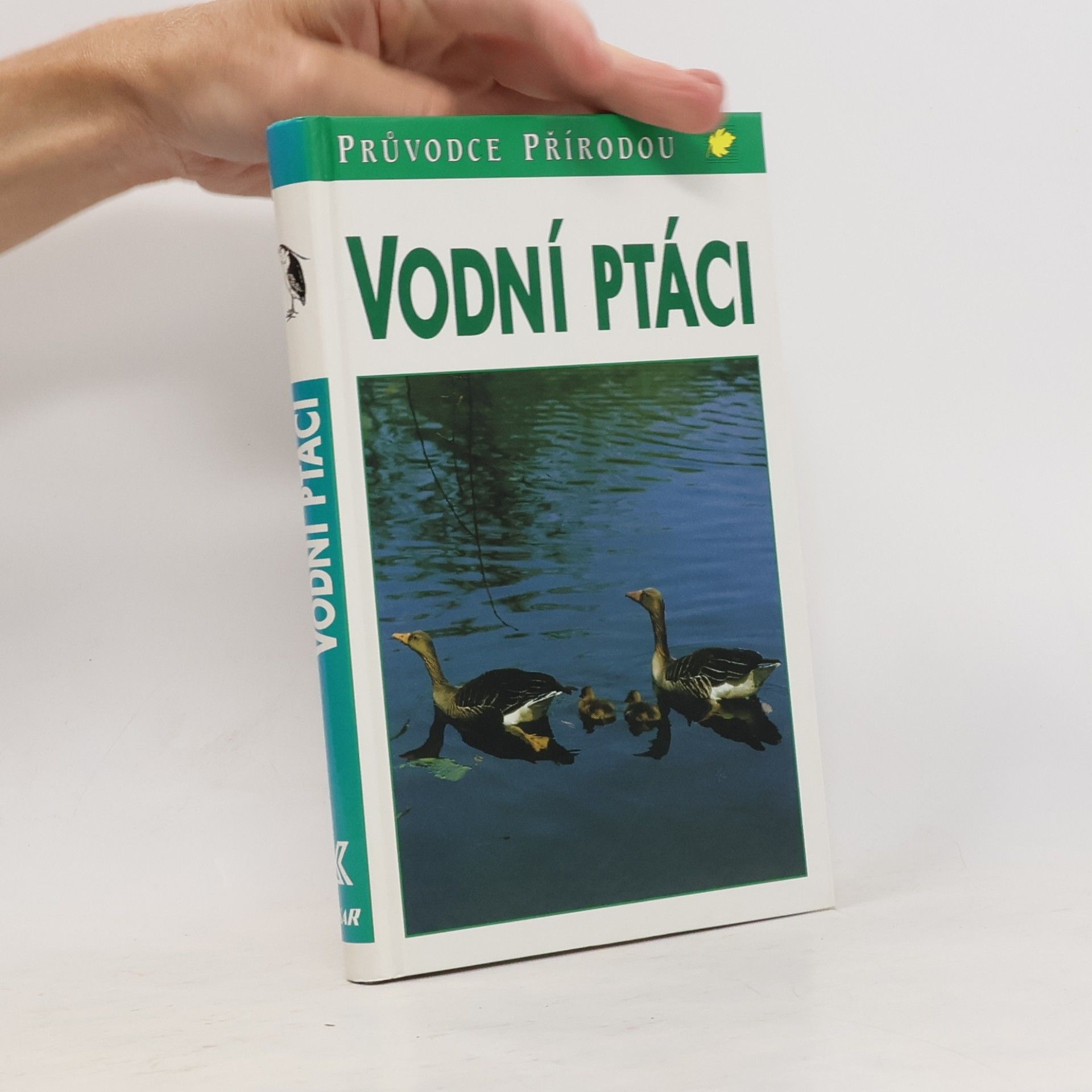 Frieder Sauer Vodní ptáci