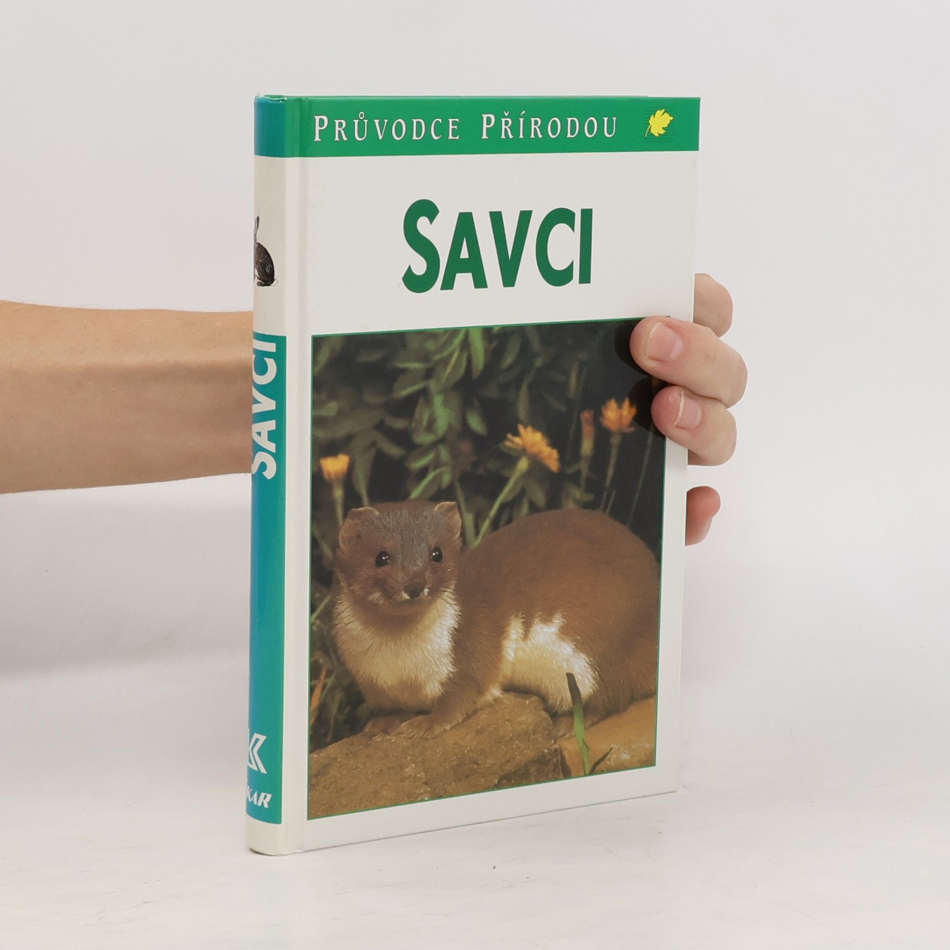 Savci