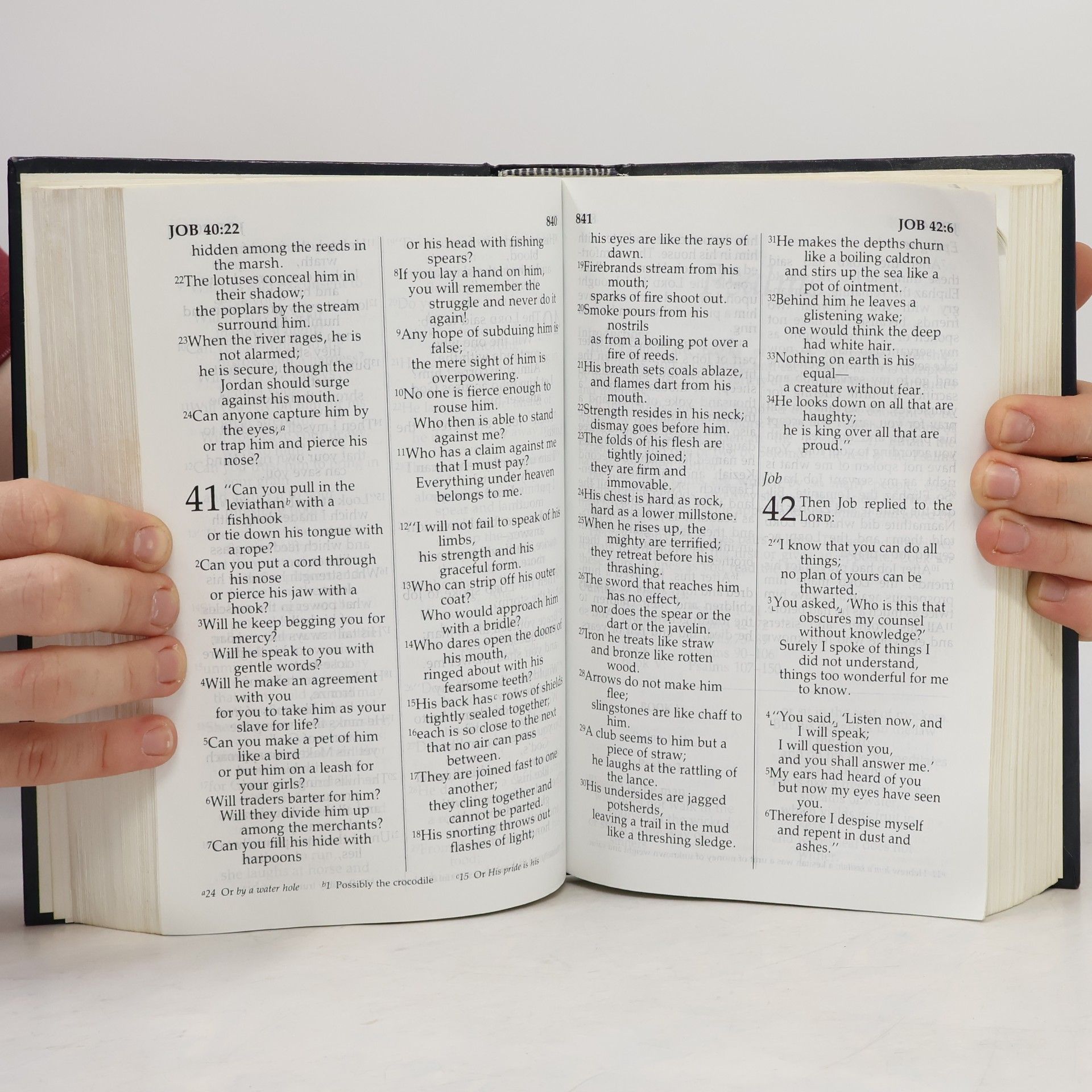 Various authors Holy Bible. New International Version
