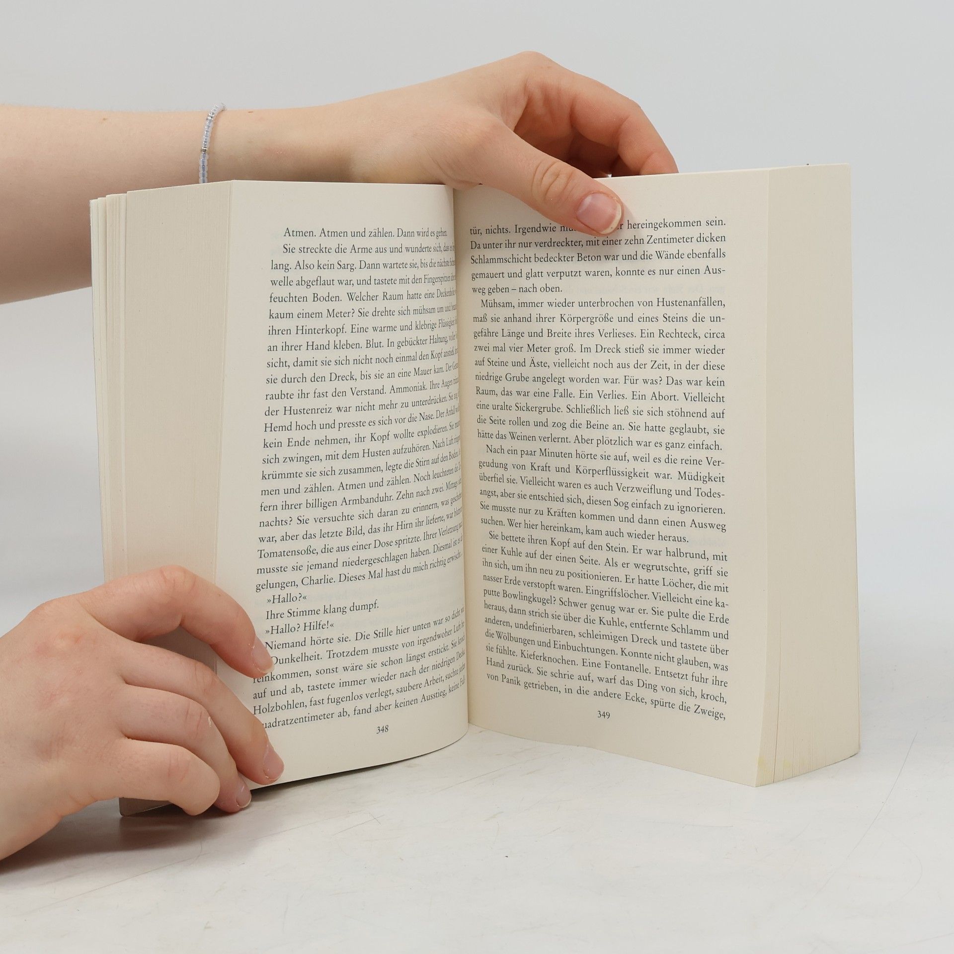 Elisabeth Hermann Das Dorf der Mörder / Der Schneegänger