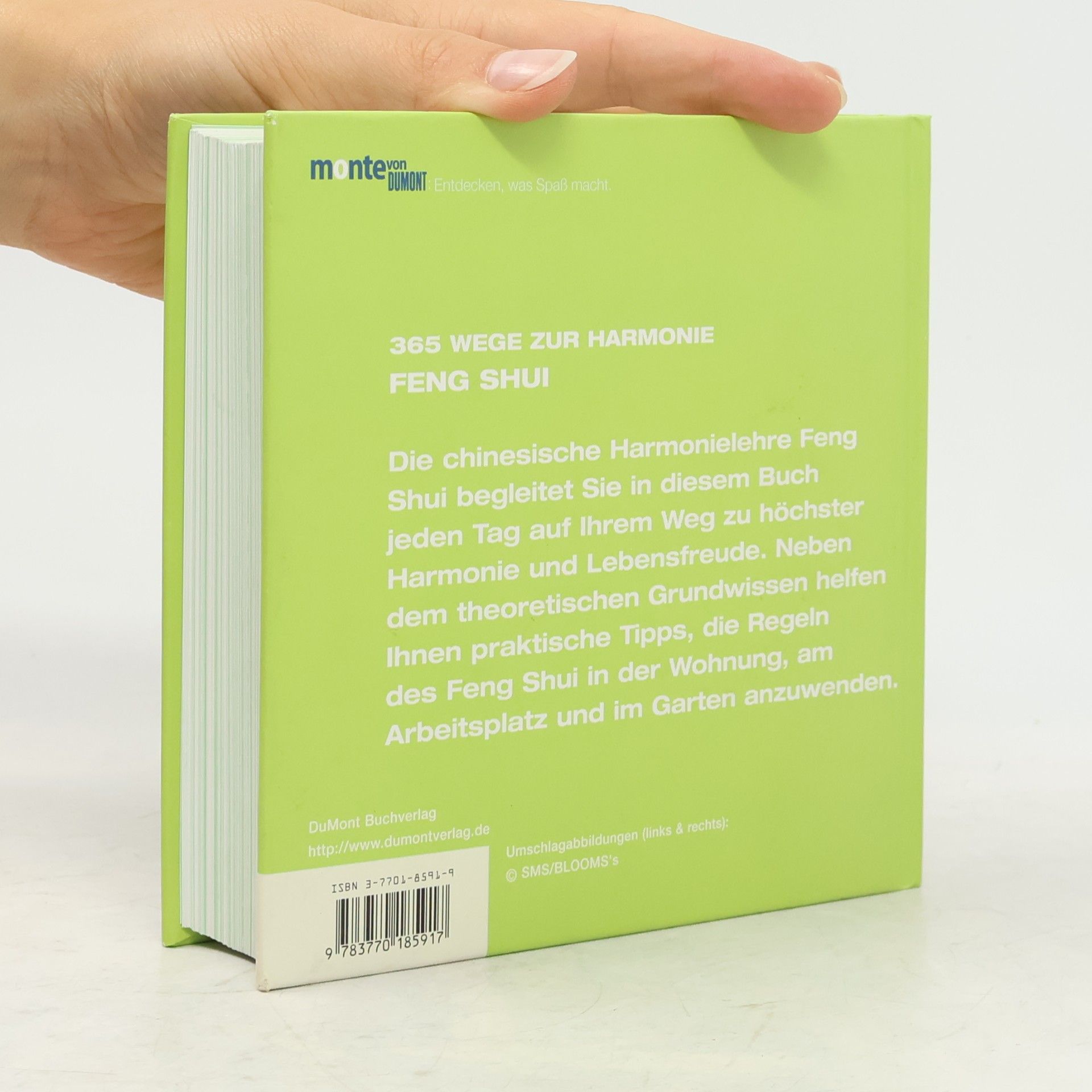 Kolektiv autorů 365 Wege zur Harmonie - Feng Shui
