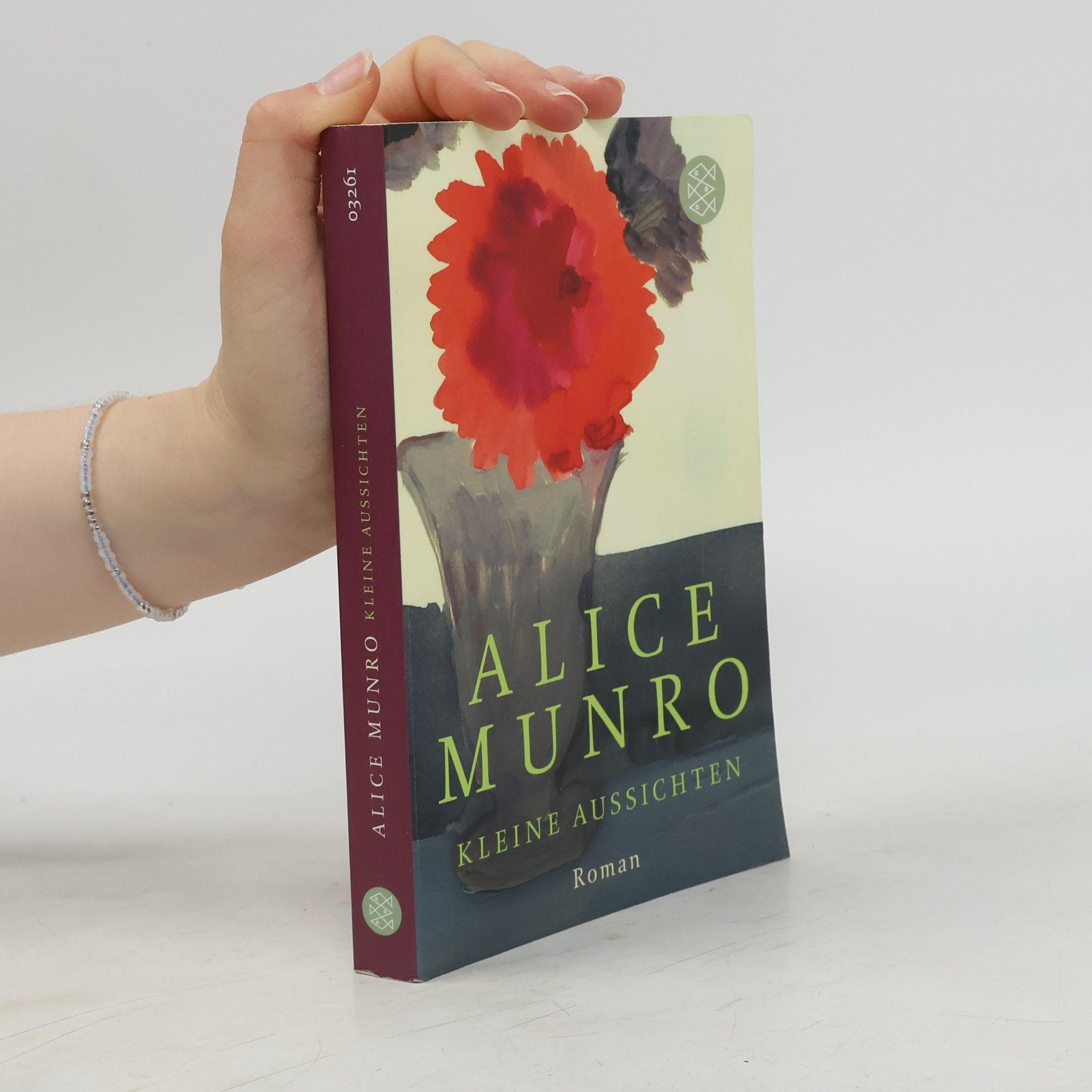 Alice Munro Kleine Aussichten