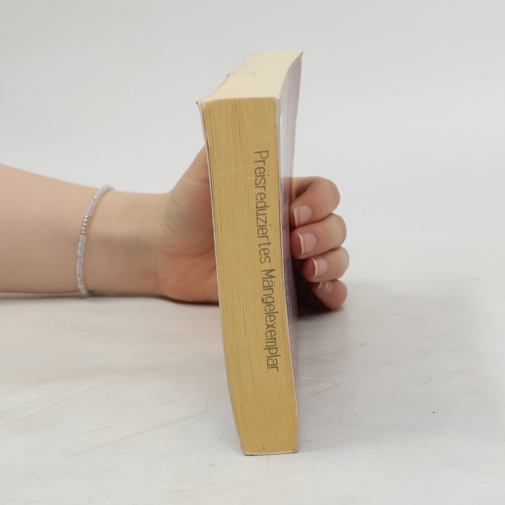 Alice Munro Kleine Aussichten