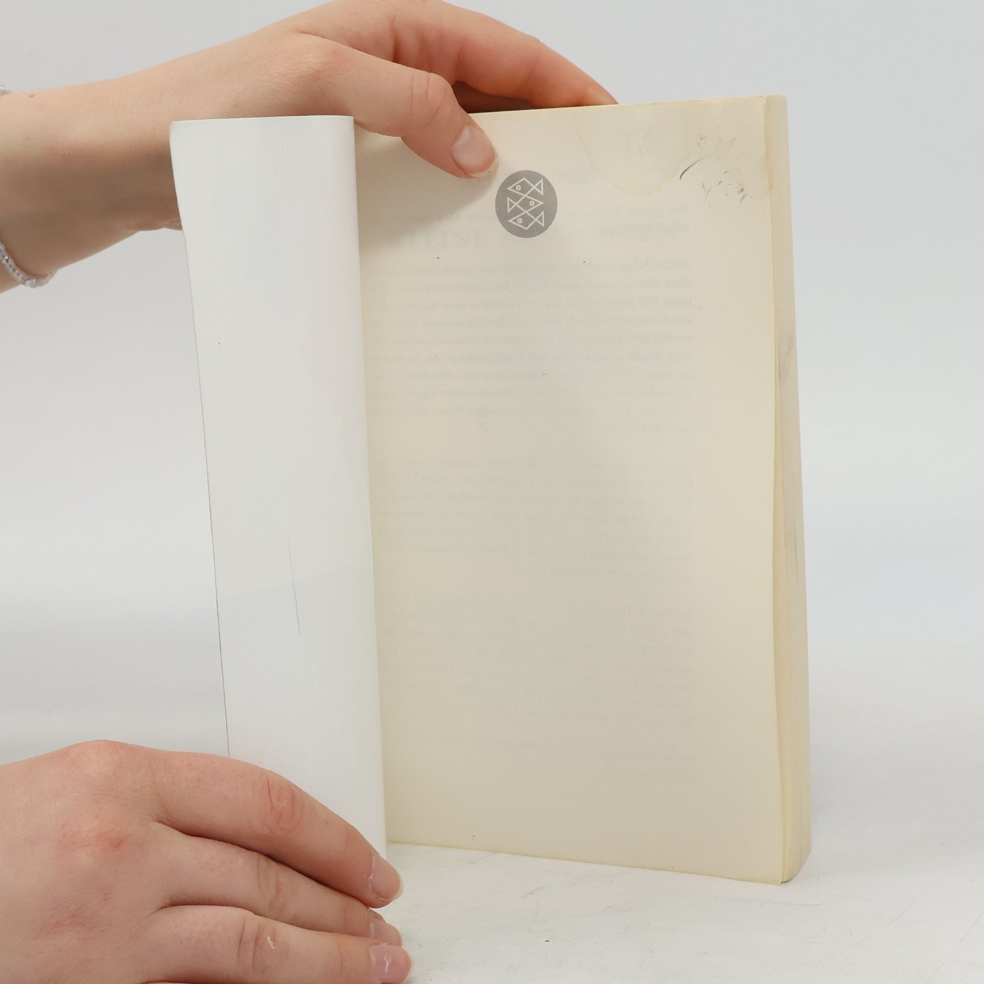 Alice Munro Kleine Aussichten