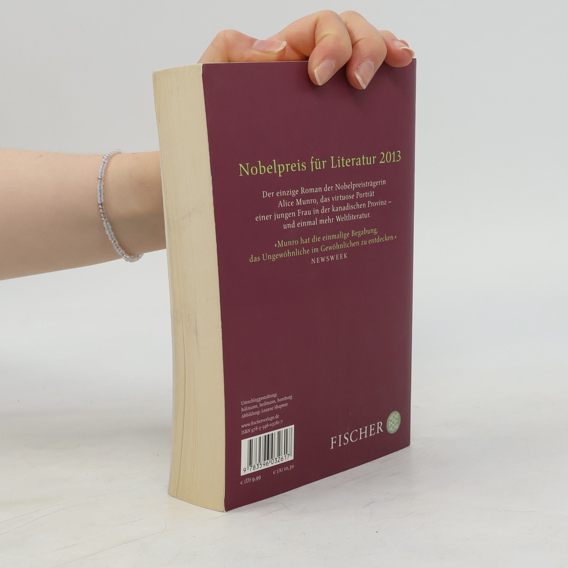 Alice Munro Kleine Aussichten