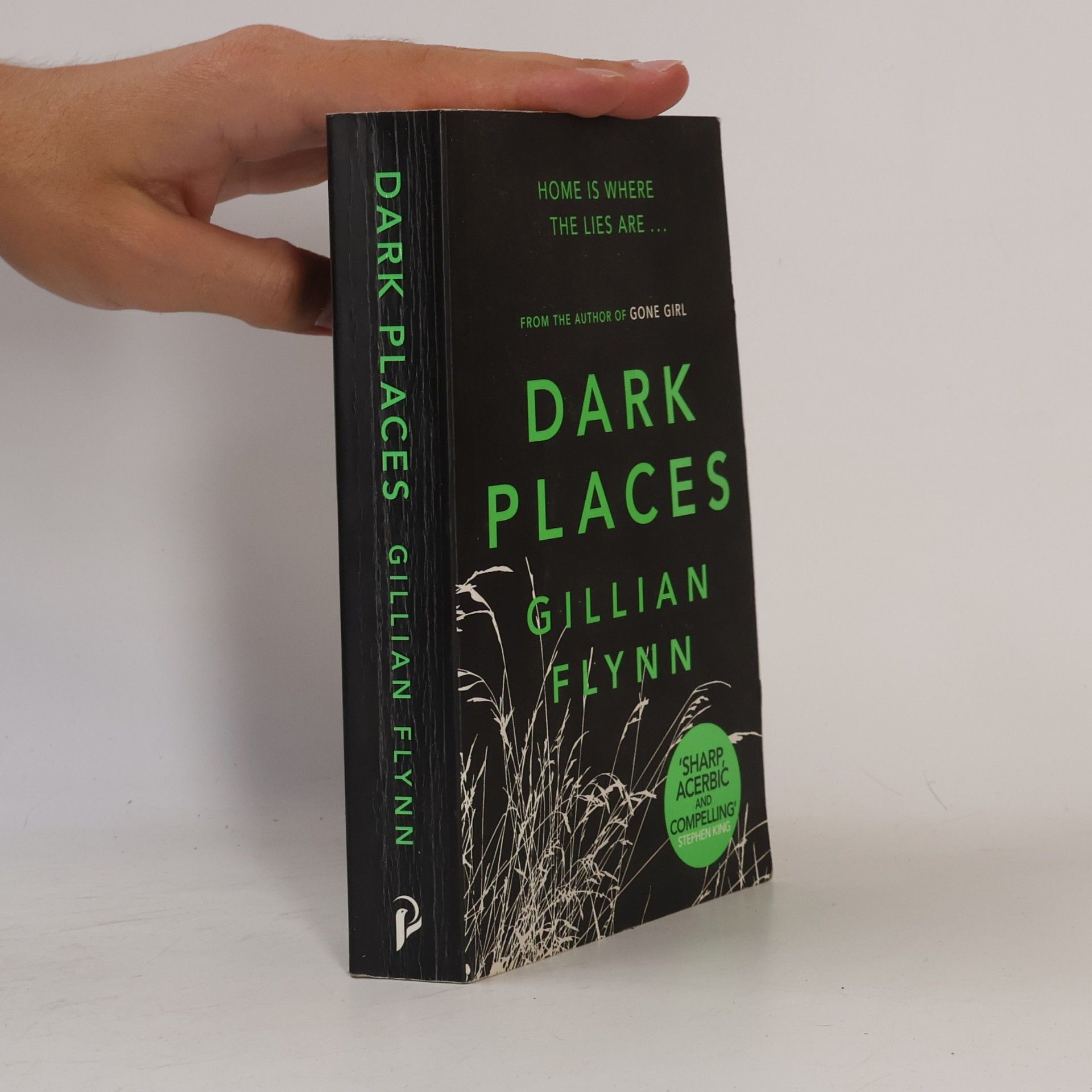 Gillian Flynn Dark Places