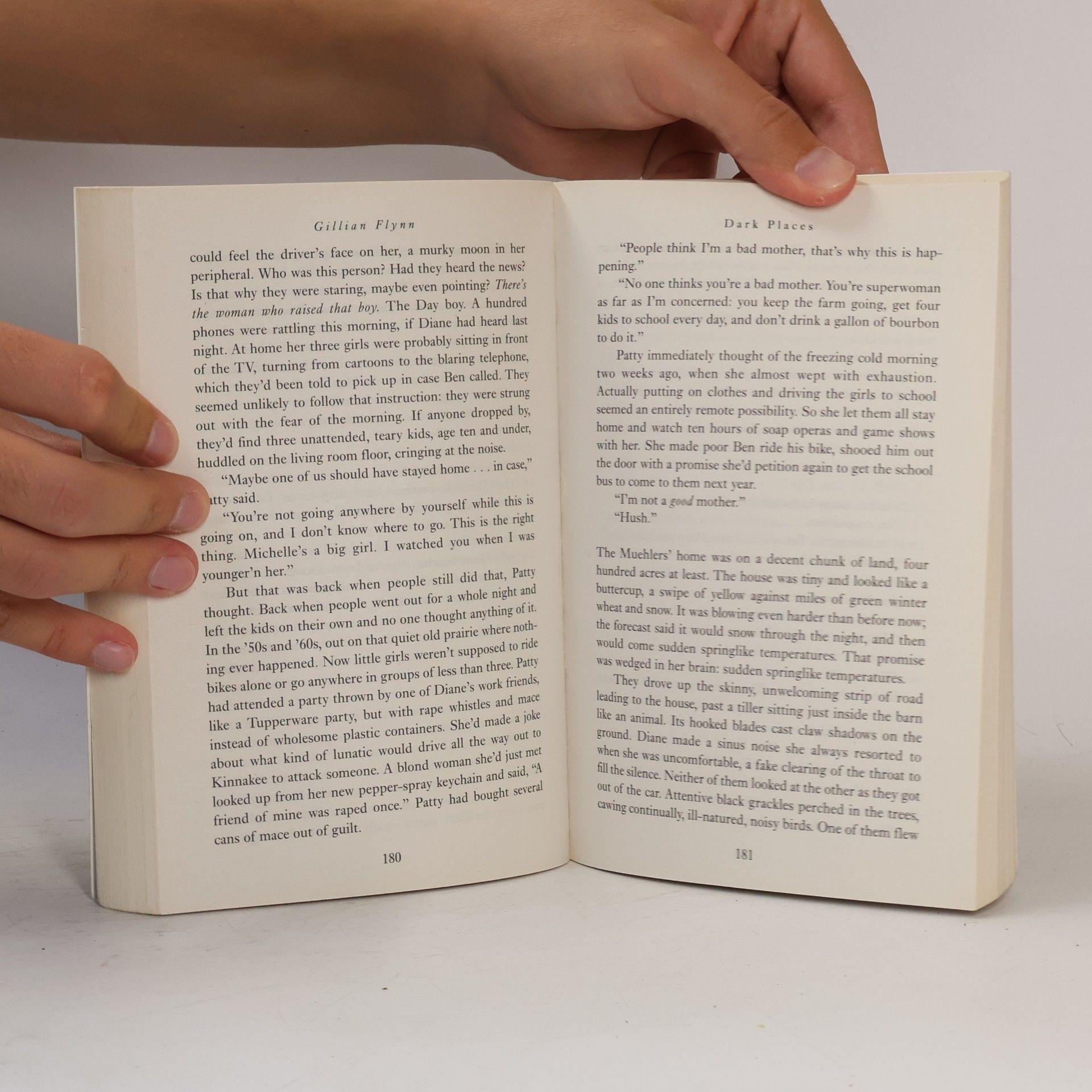 Gillian Flynn Dark Places
