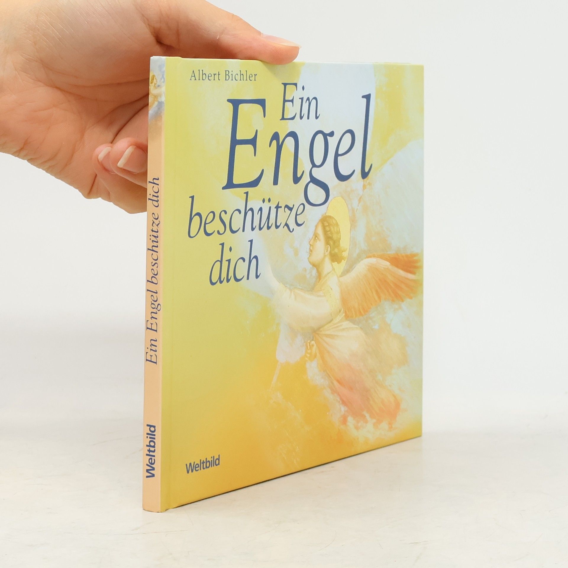 Albert Bichler Ein Engel beschütze dich