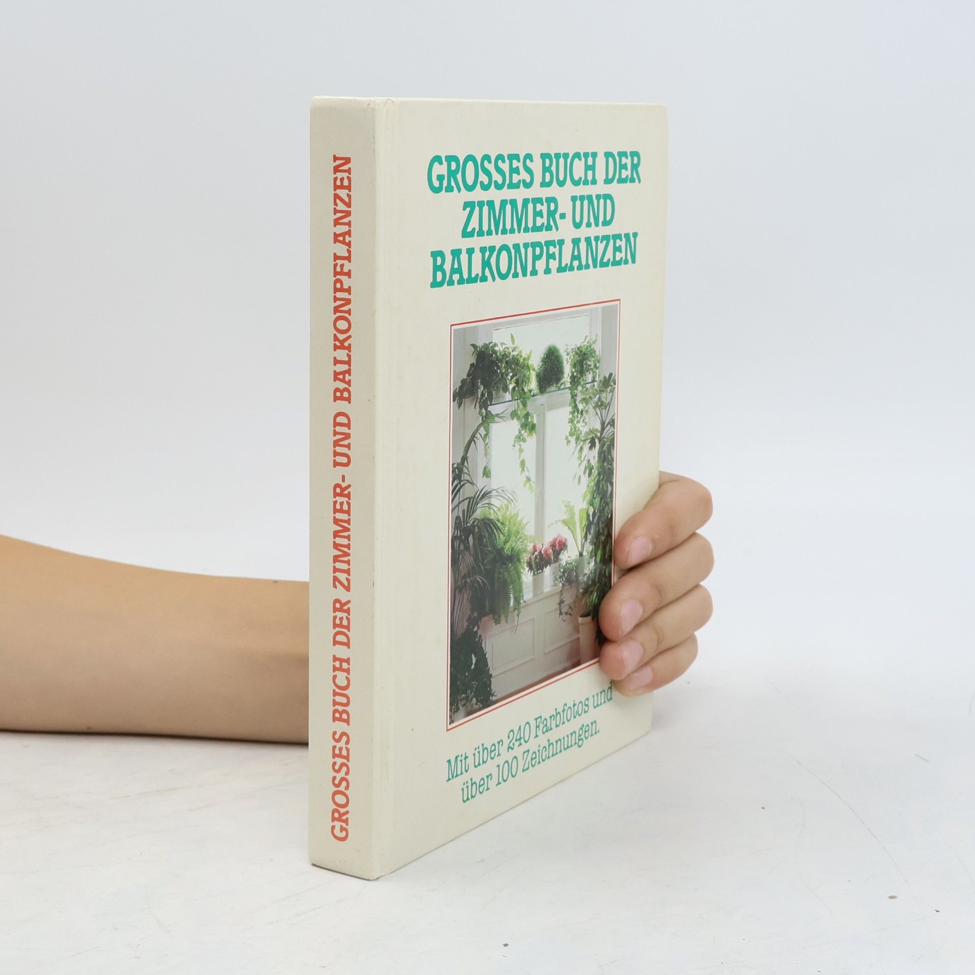 Jürgen Saupe Grossem Buch der Zimmer-und Balkonpflanzen