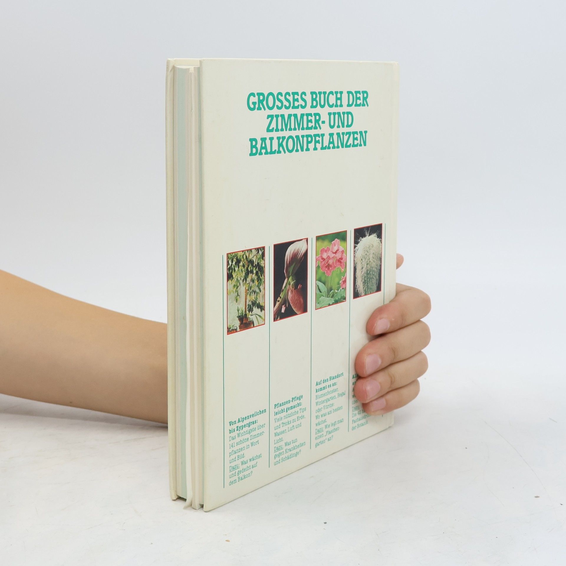 Jürgen Saupe Grossem Buch der Zimmer-und Balkonpflanzen