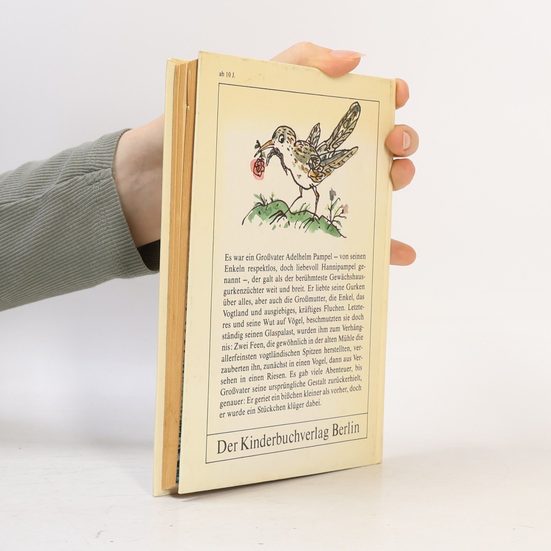 Andreas Klotsch Der wilde Hannipampel aus der Rosenhecke