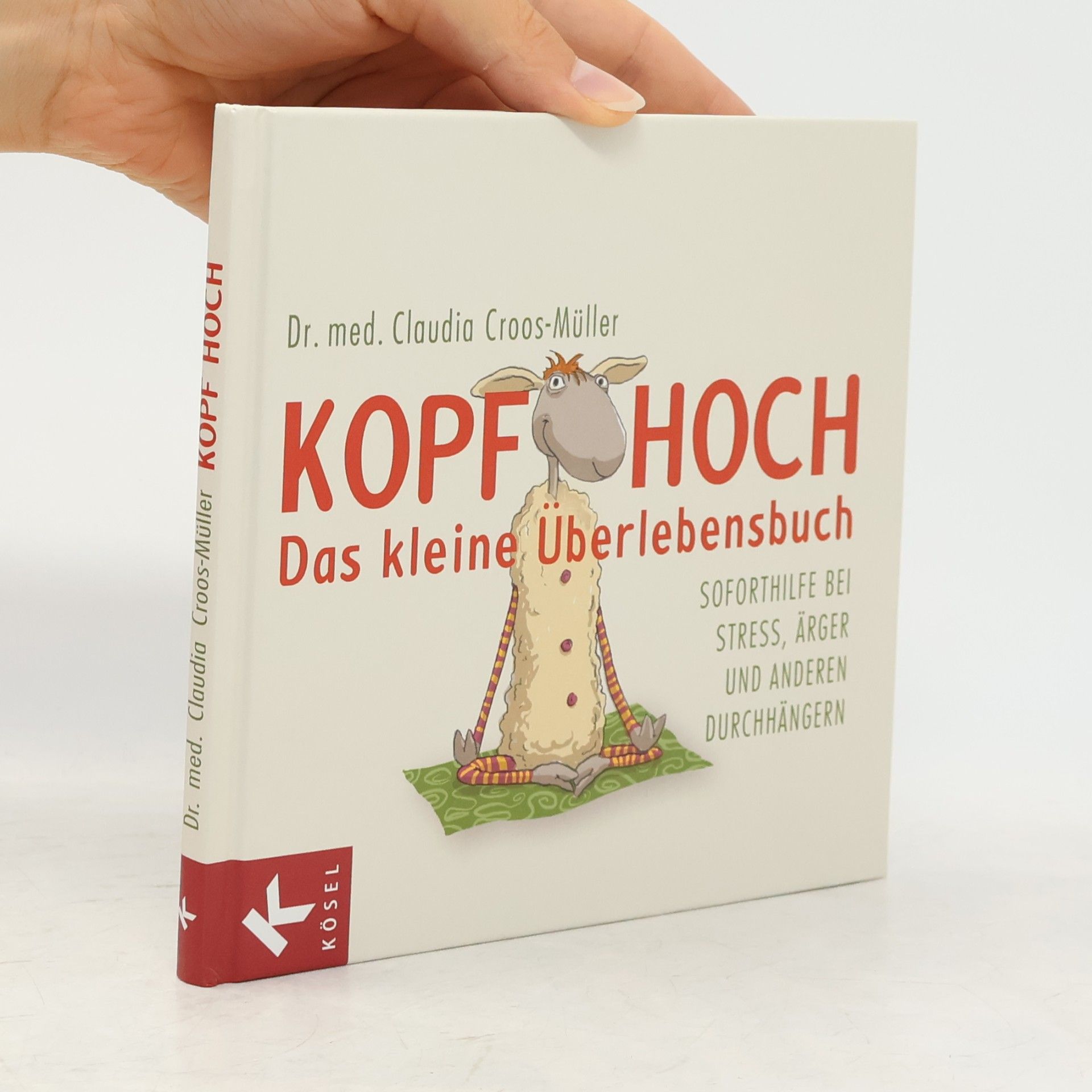 Claudia Croos-Müller Kopf hoch - das kleine Überlebensbuch