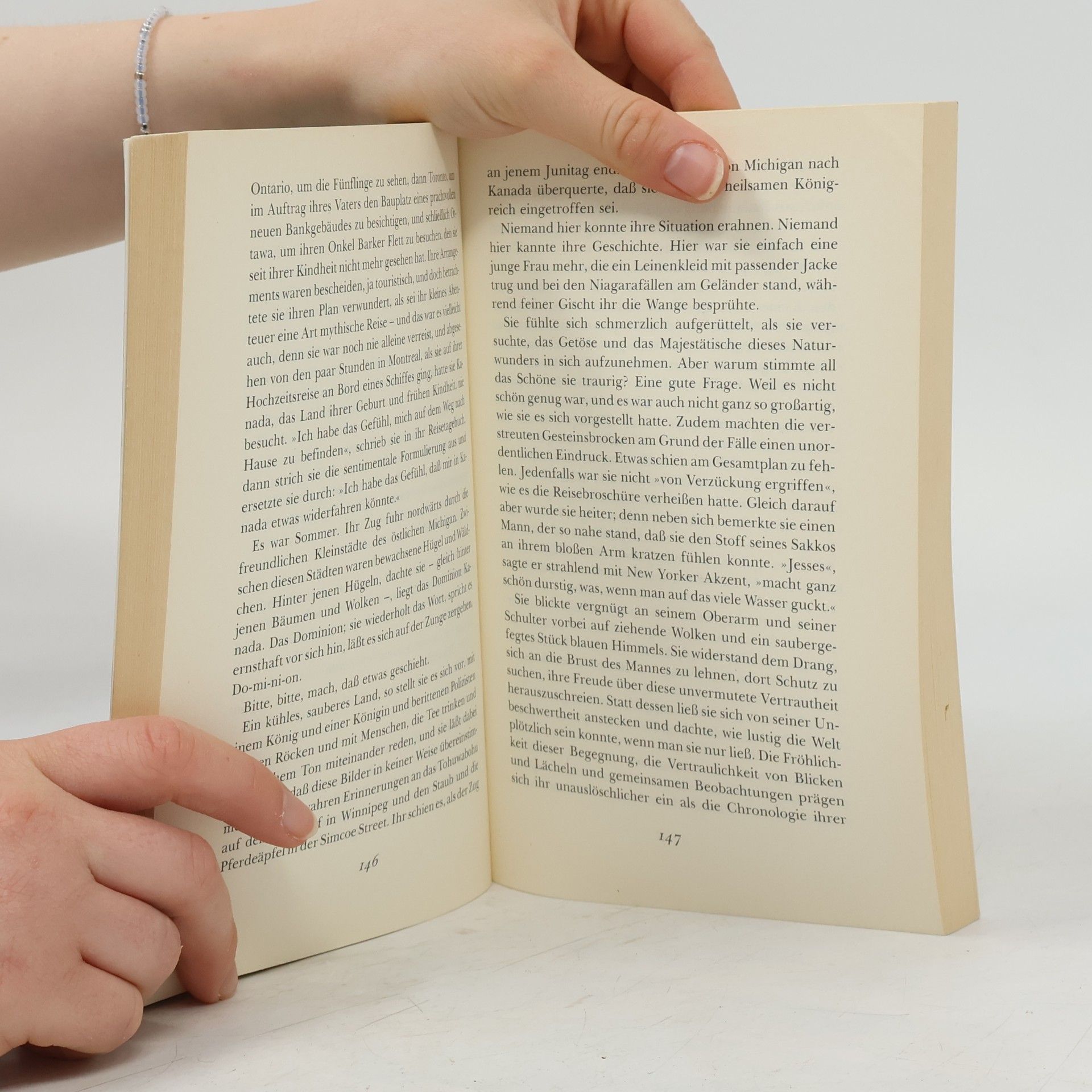 Carol Shields Das Tagebuch der Daisy Goodwill