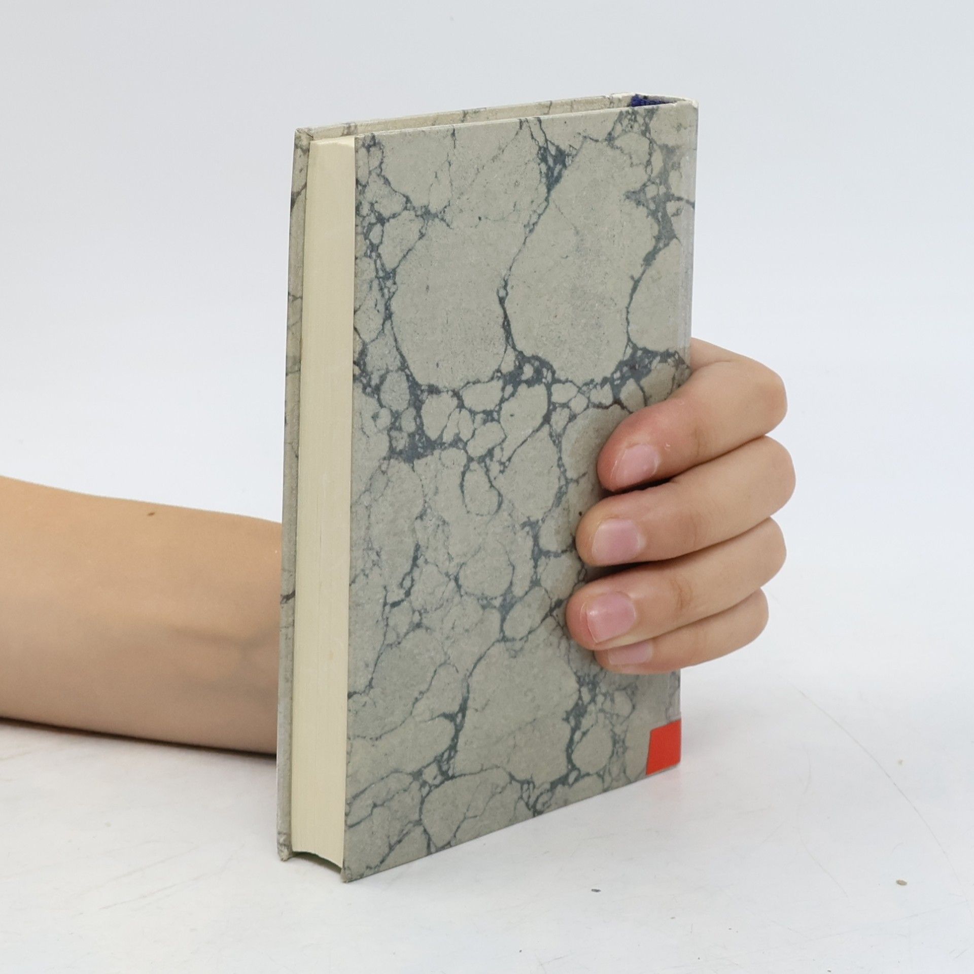Hermann Hesse Glasperlenspiel 2