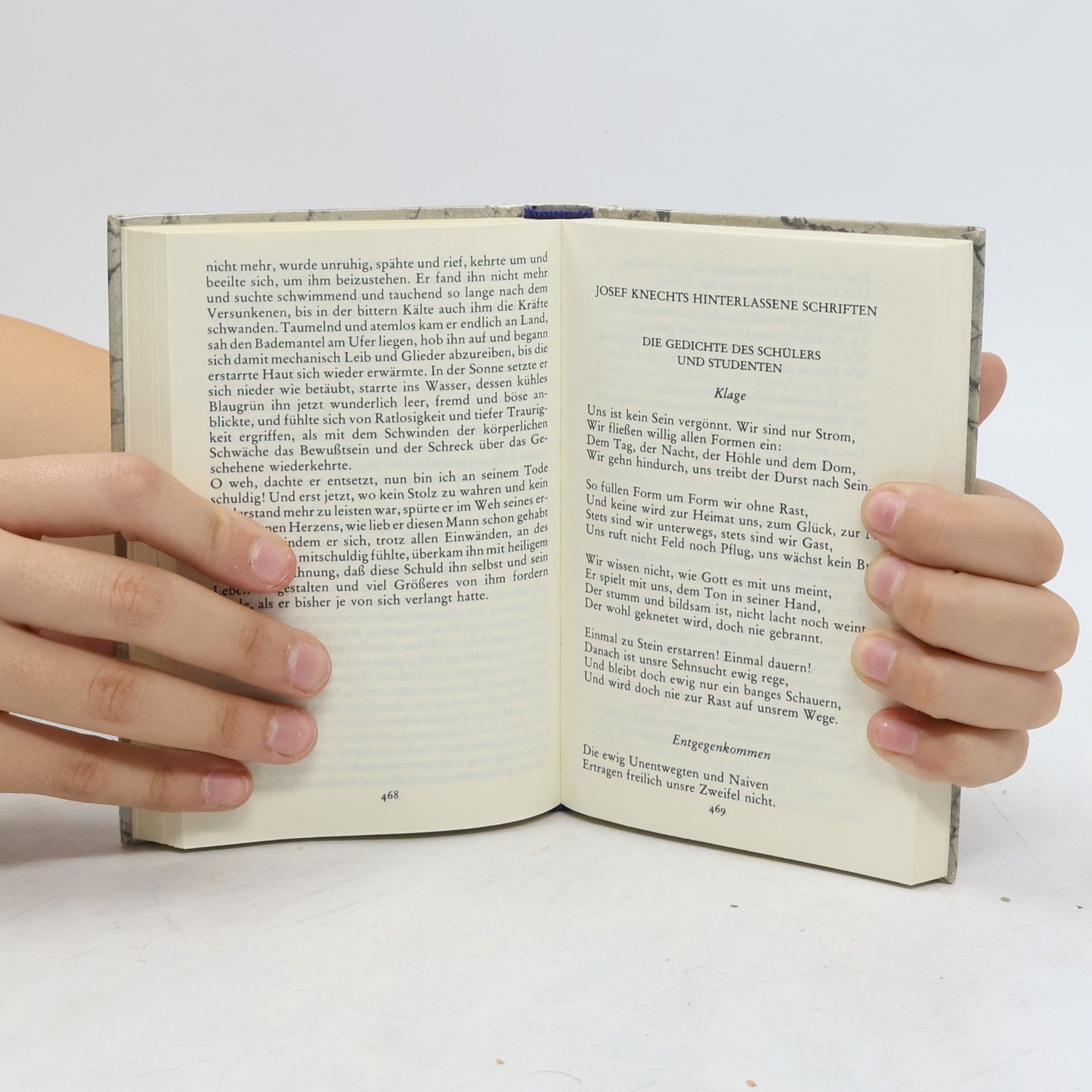Hermann Hesse Glasperlenspiel 2