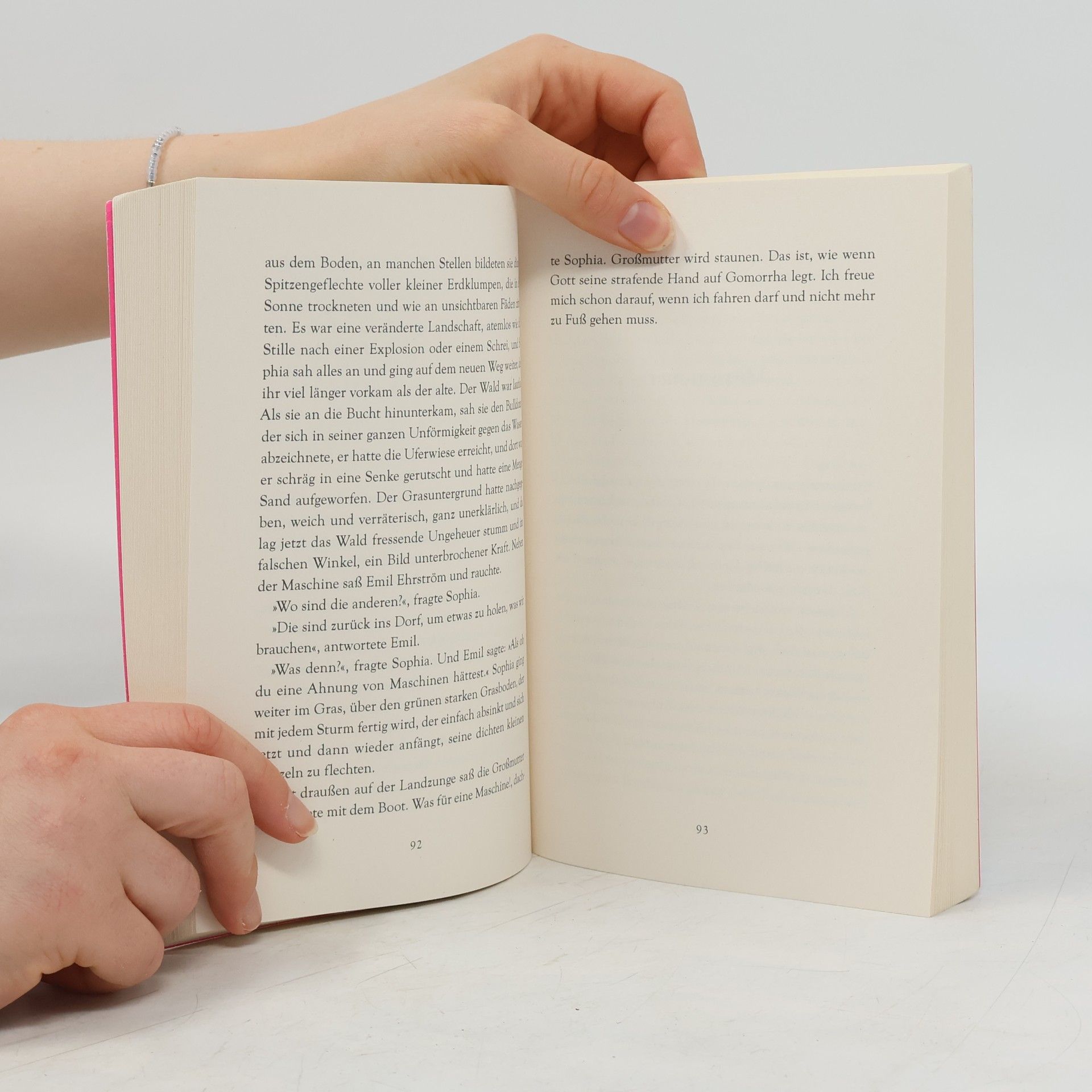 Tove Jansson Das Sommerbuch
