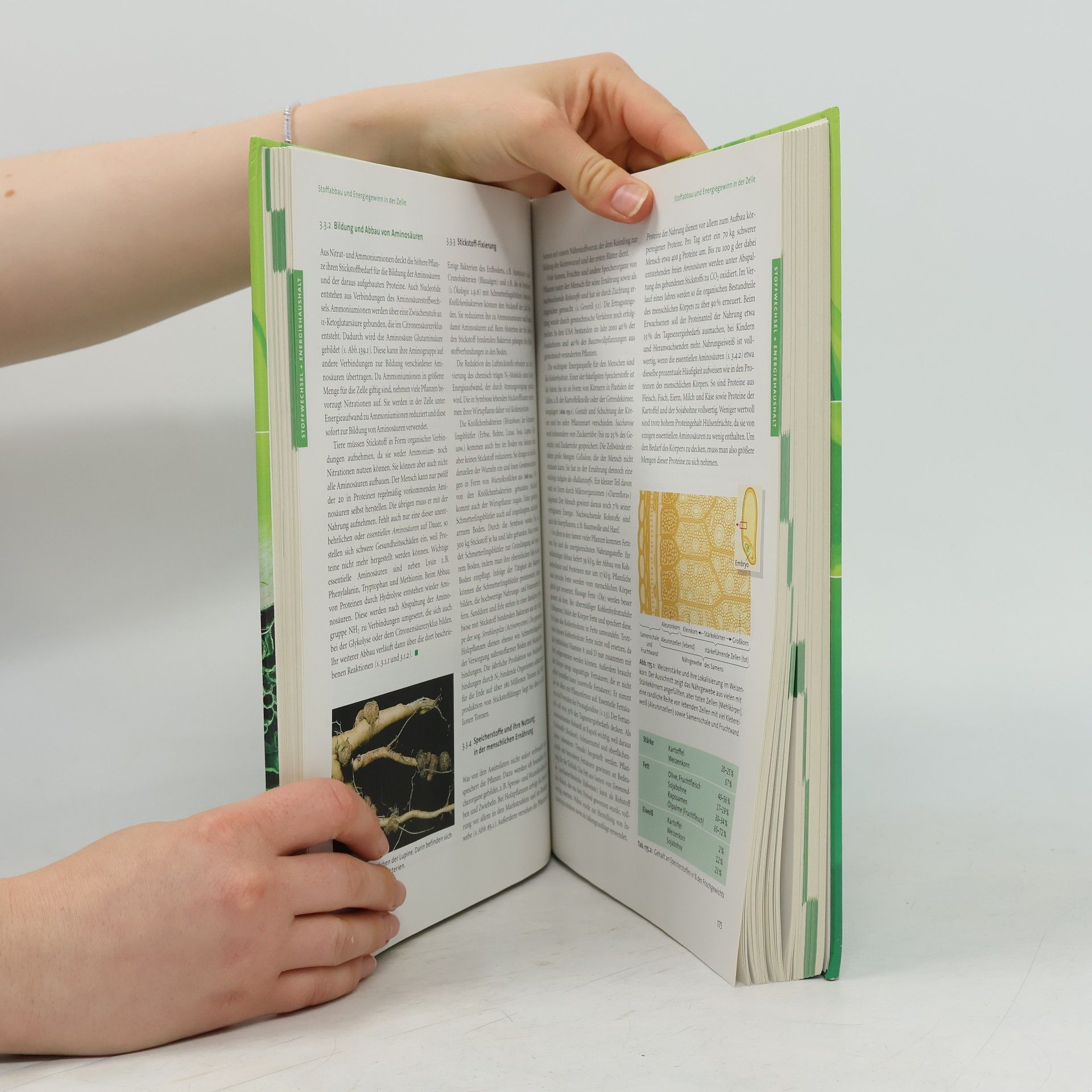 Autorenkollektiv Linder Biologie