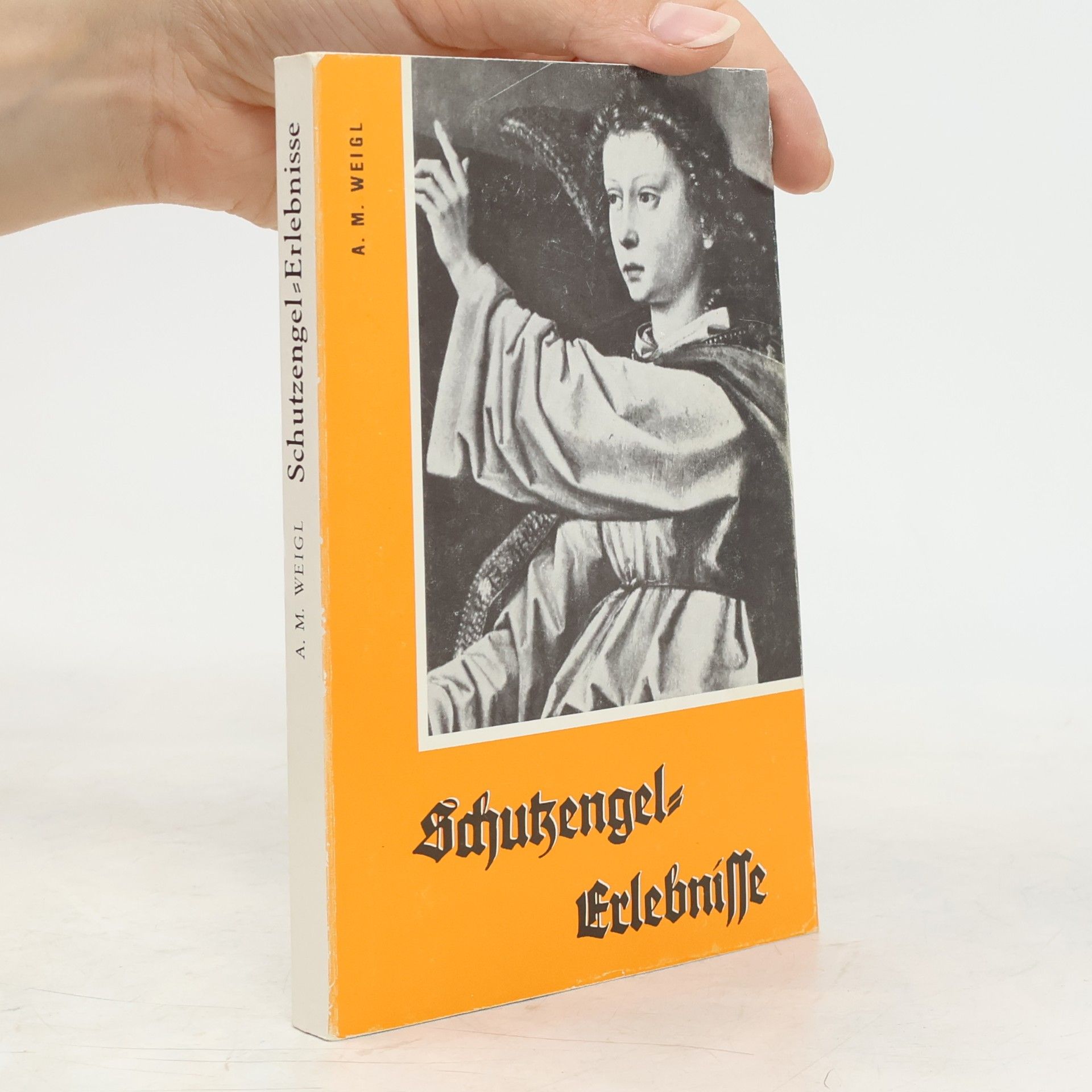 Schutzengel-Erlebnisse