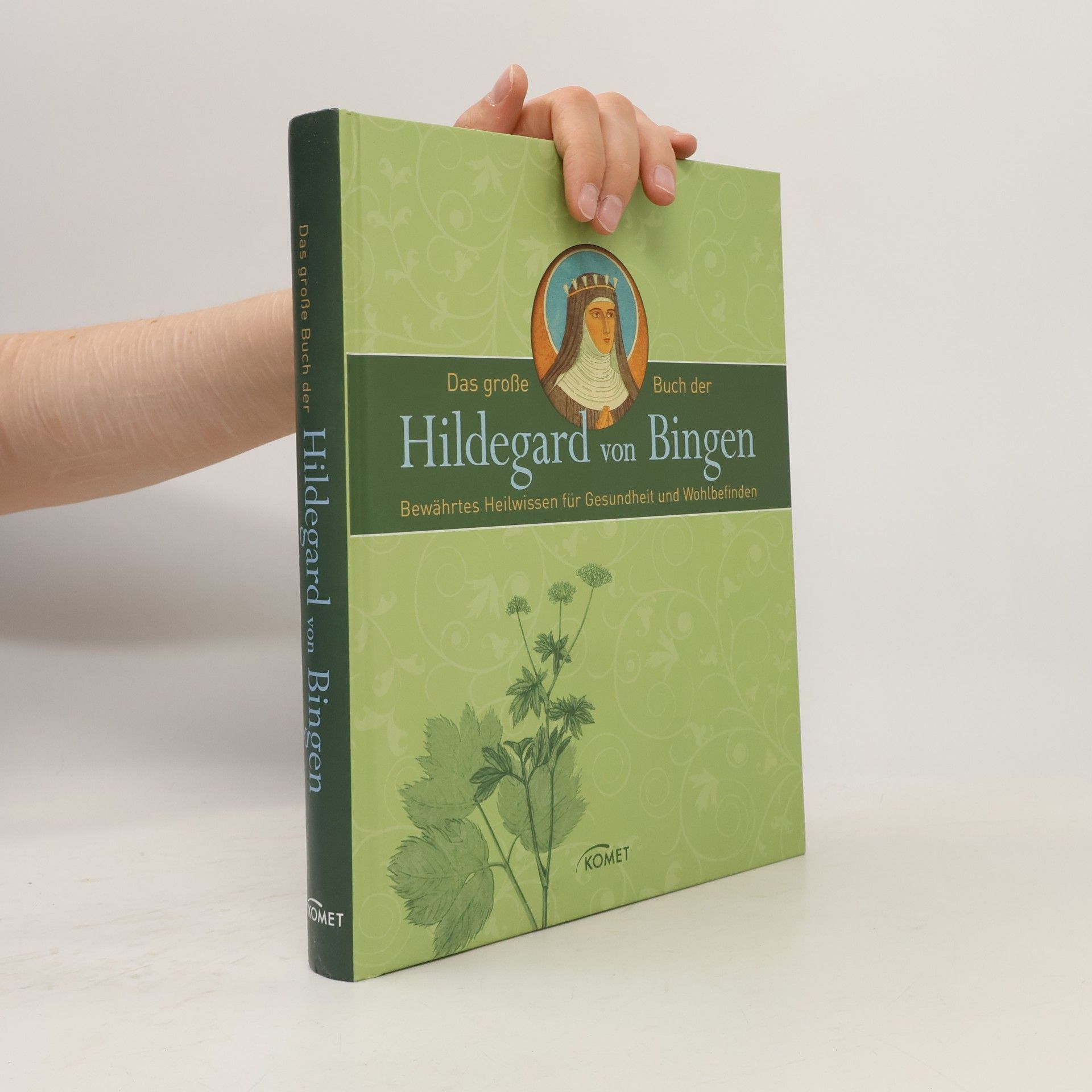 Hildegard of Bingen Das große Buch der Hildegard von Bingen