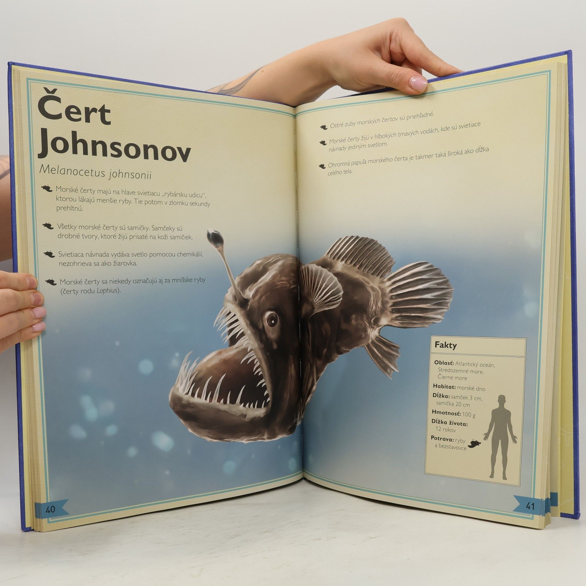 Tom Jackson Ilustrovaná kniha: Morské živočíchy
