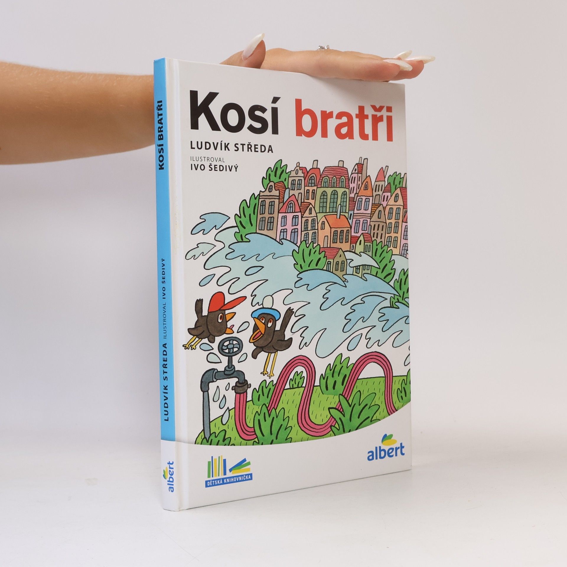 Kosí bratři