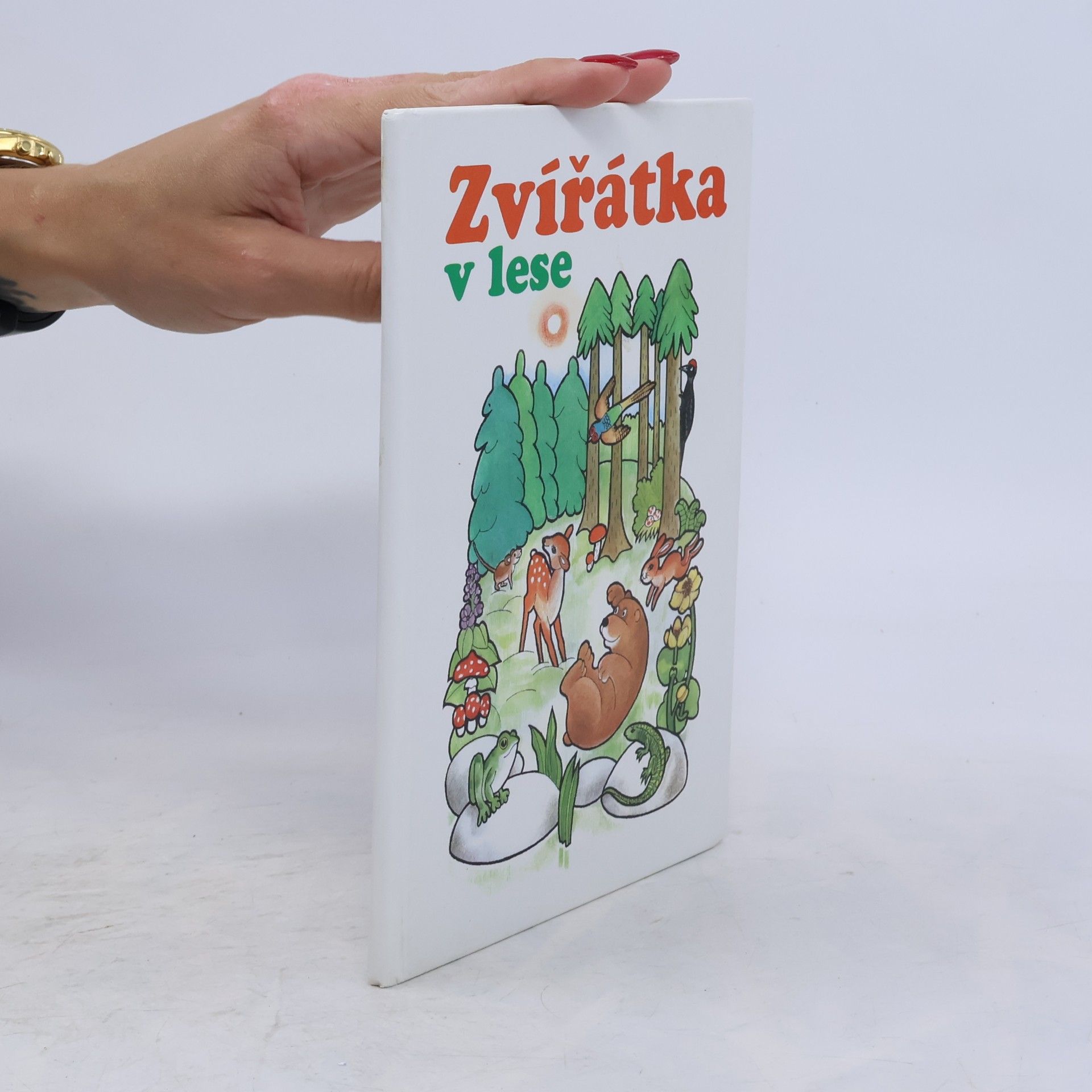 Zvířátka v lese